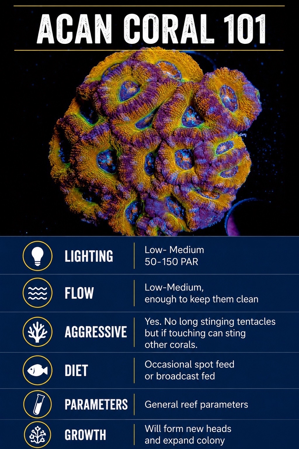 @ReefTok