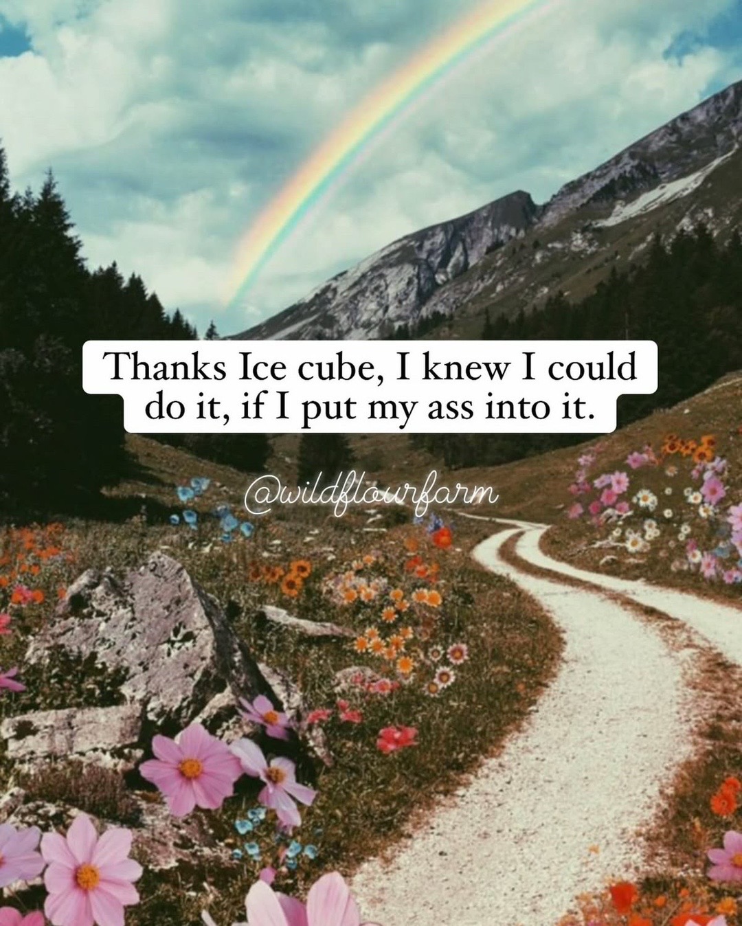 @Susan