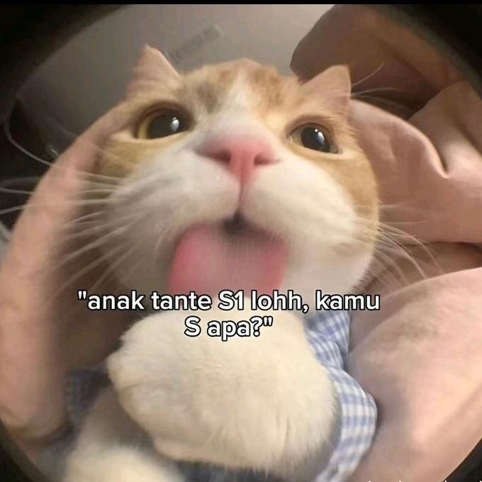 @Chandra 18