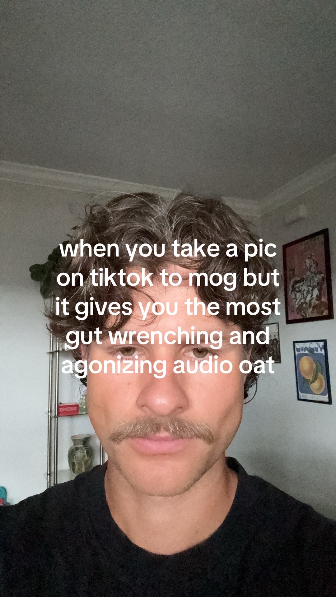 @shane