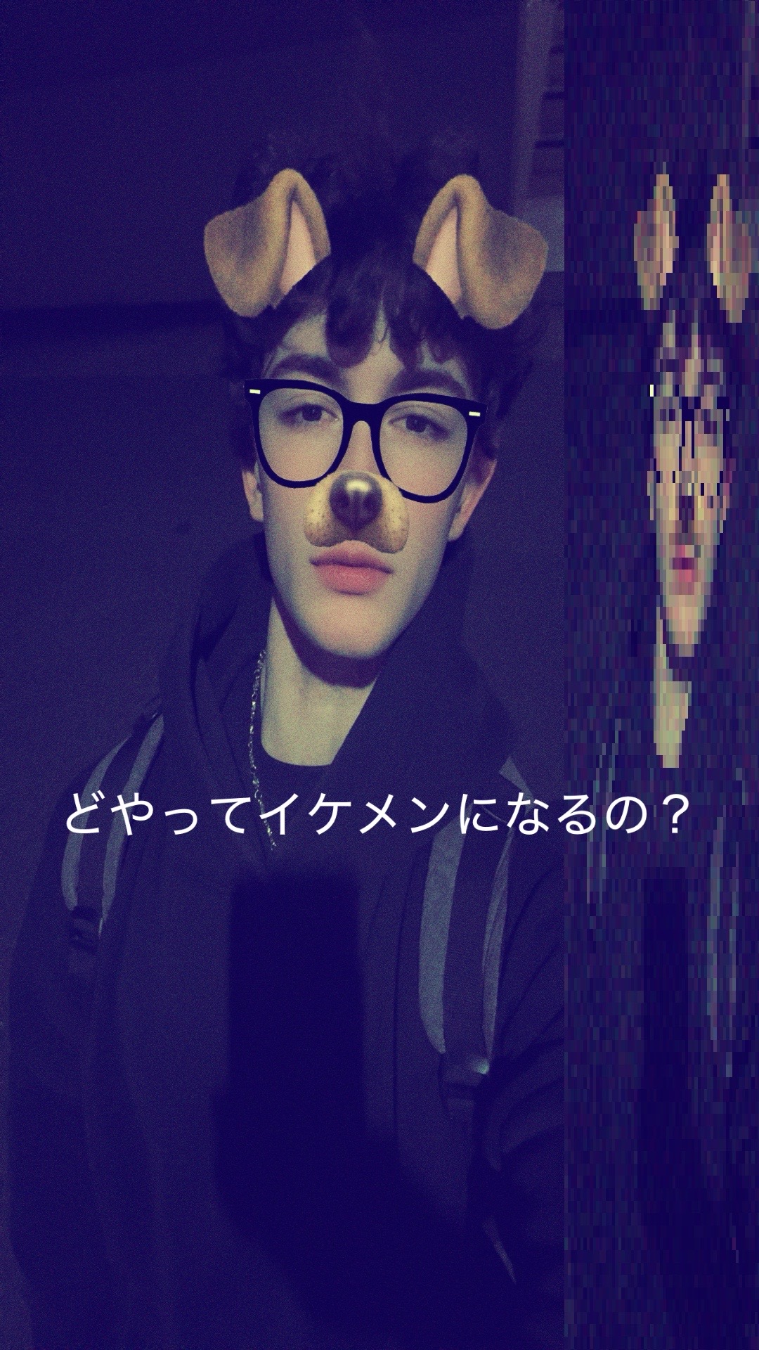 @lees.od