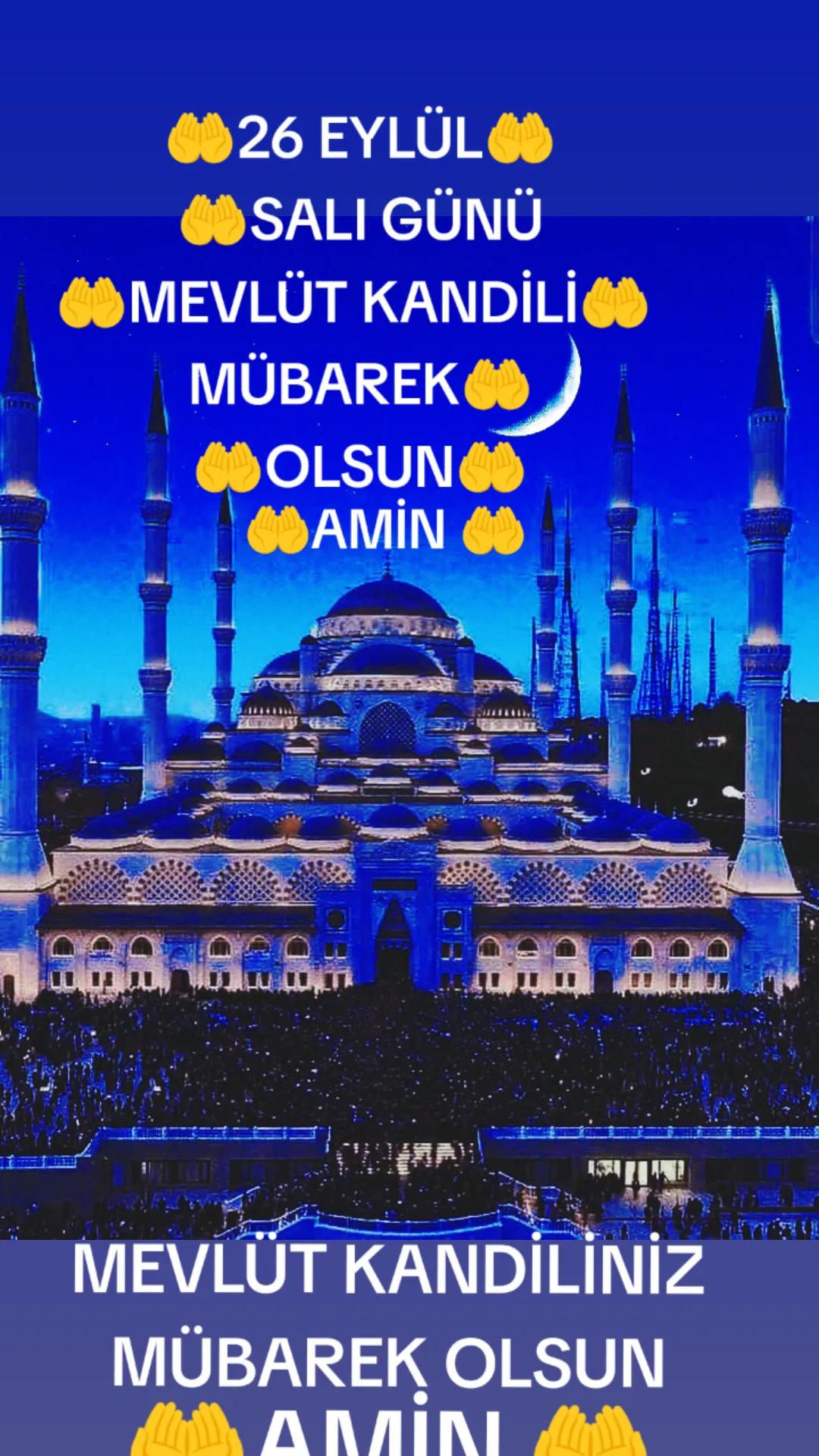 @sedat eregli 33 13