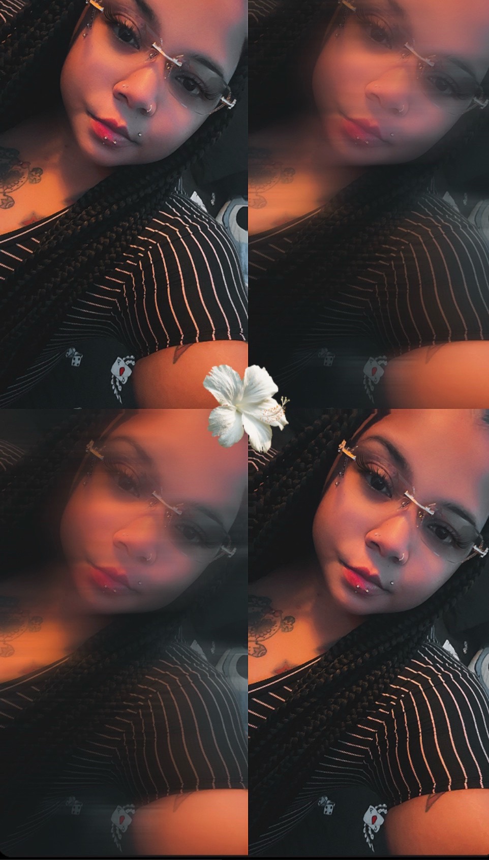 @🖤Dᵢᵢₘₚₗₑₛ ._. ₃ₓₑₗᵤₛᵢᵥₑ 🖤