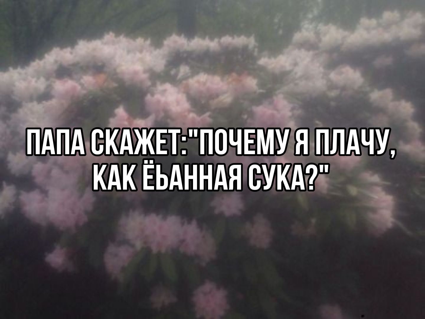 @ꕤ₊˚