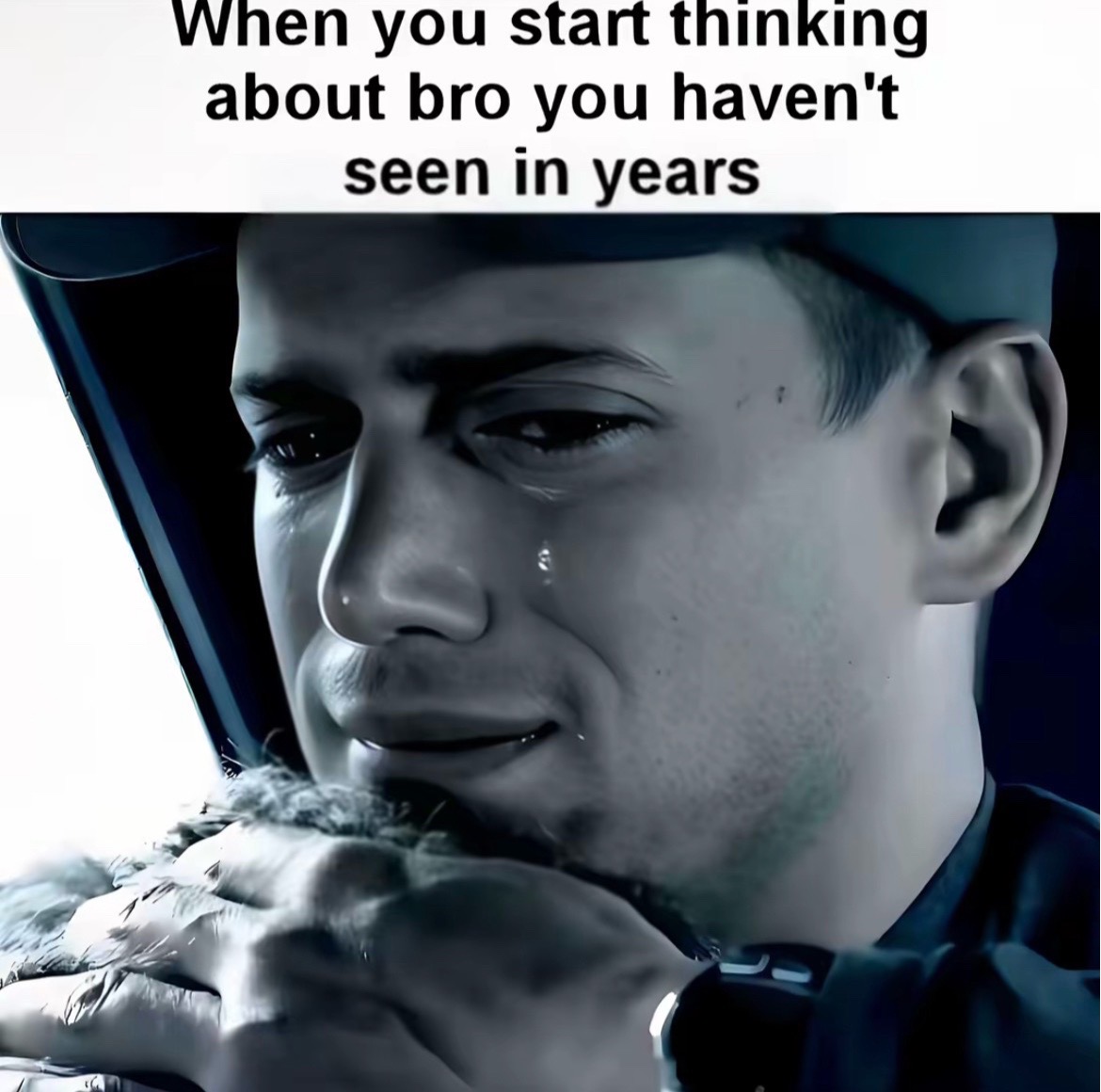 @≋r≋≋e≋≋z≋≋i≋