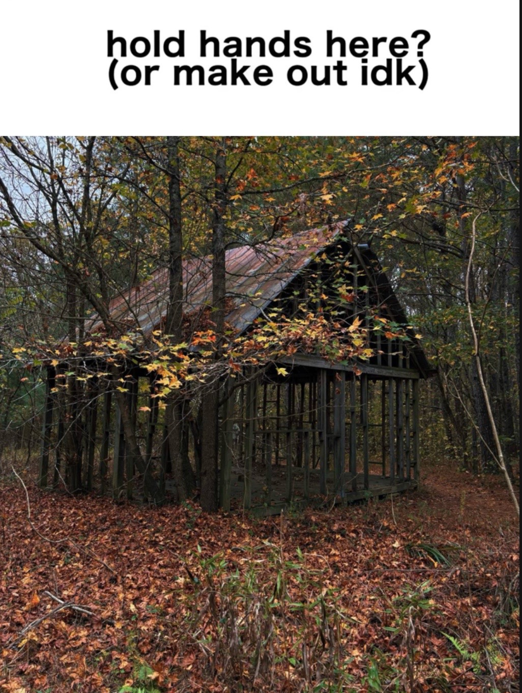 @Forever