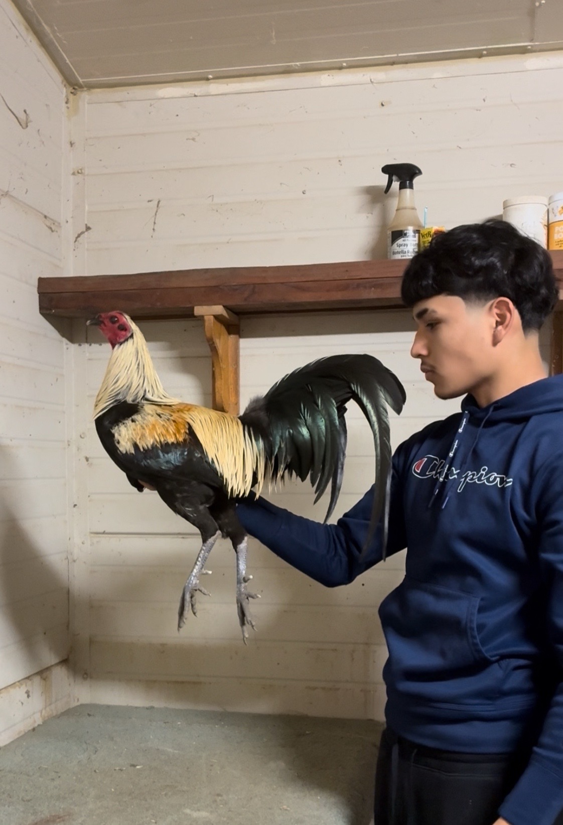 @Rancho_Ramirez209