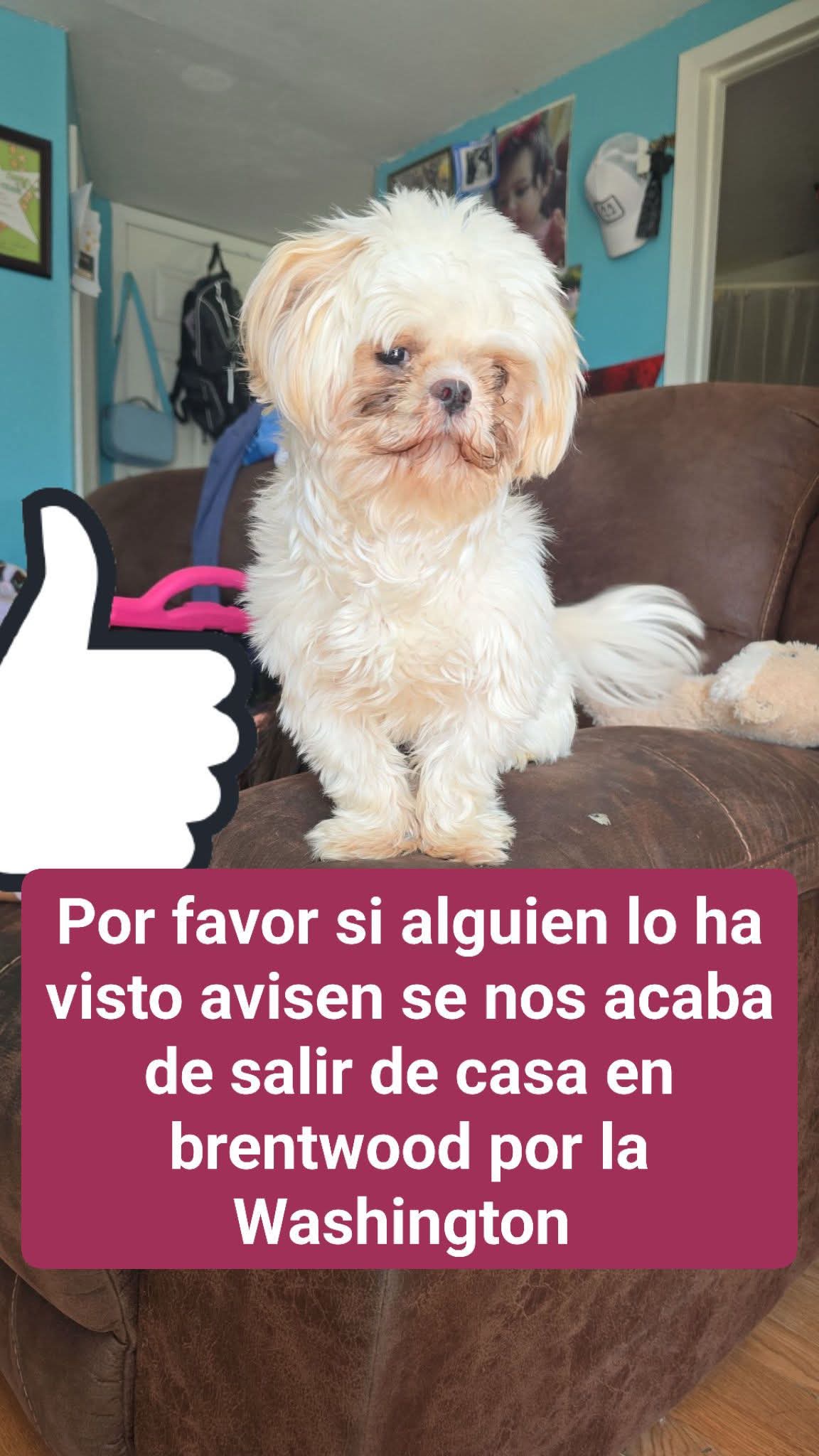 @David