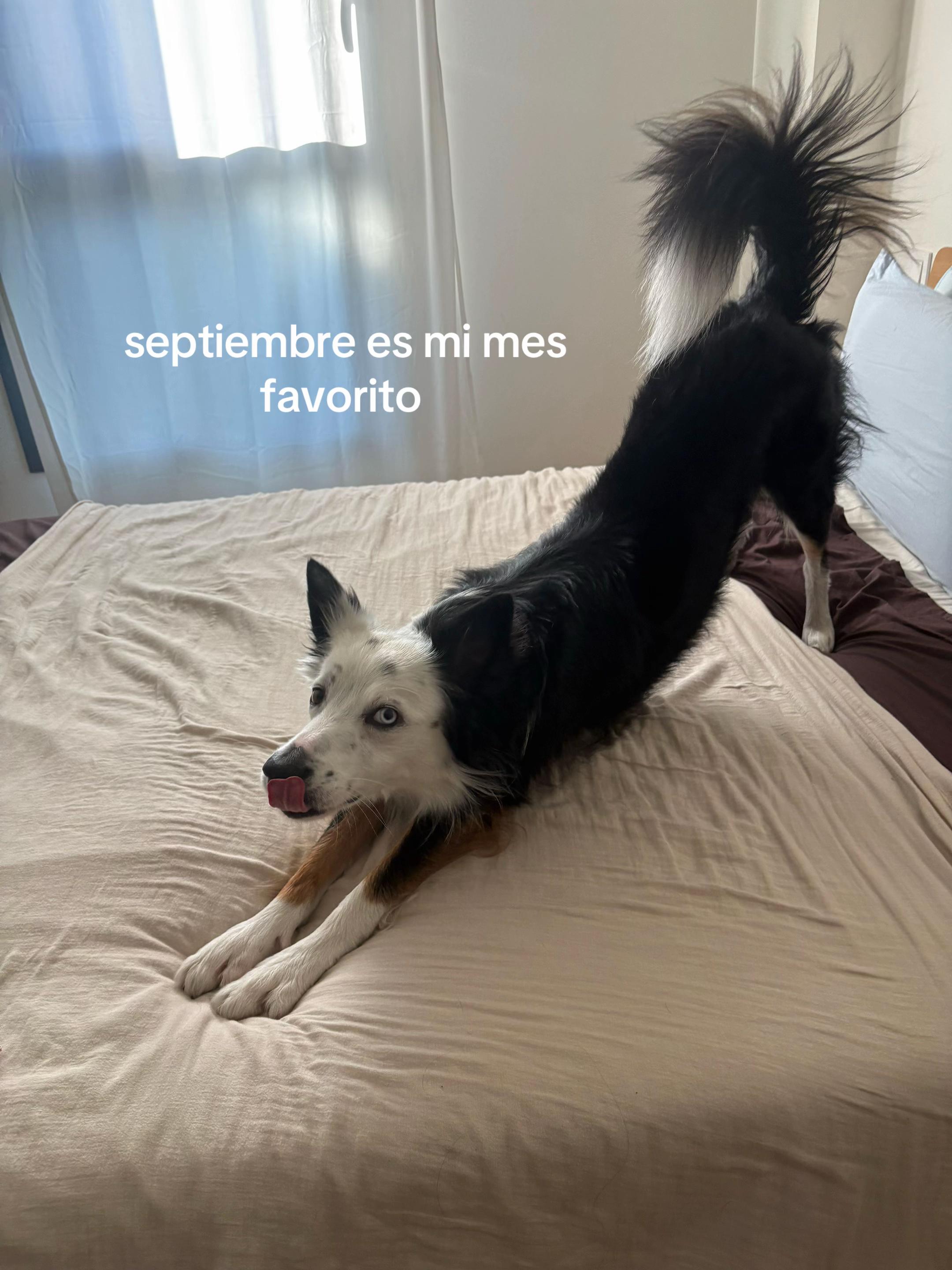 @Laura