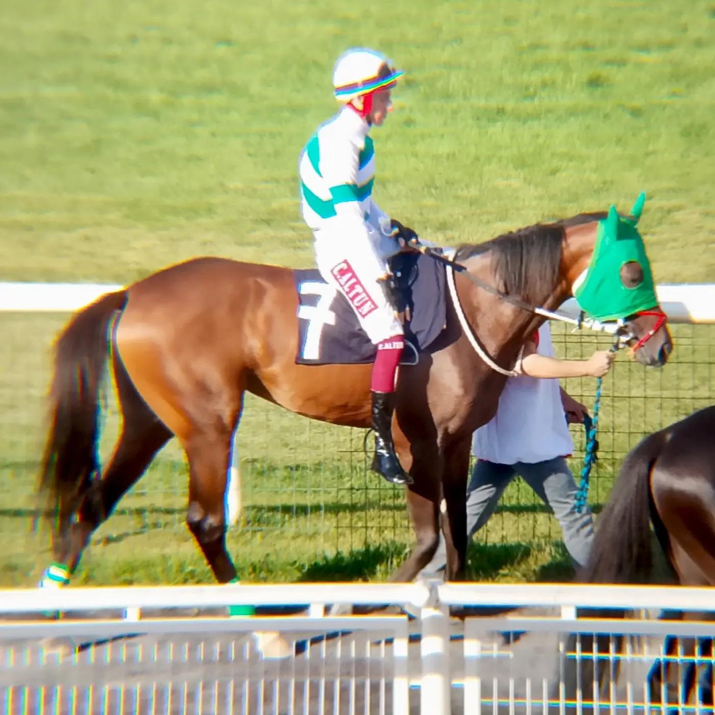 @brs horse racing