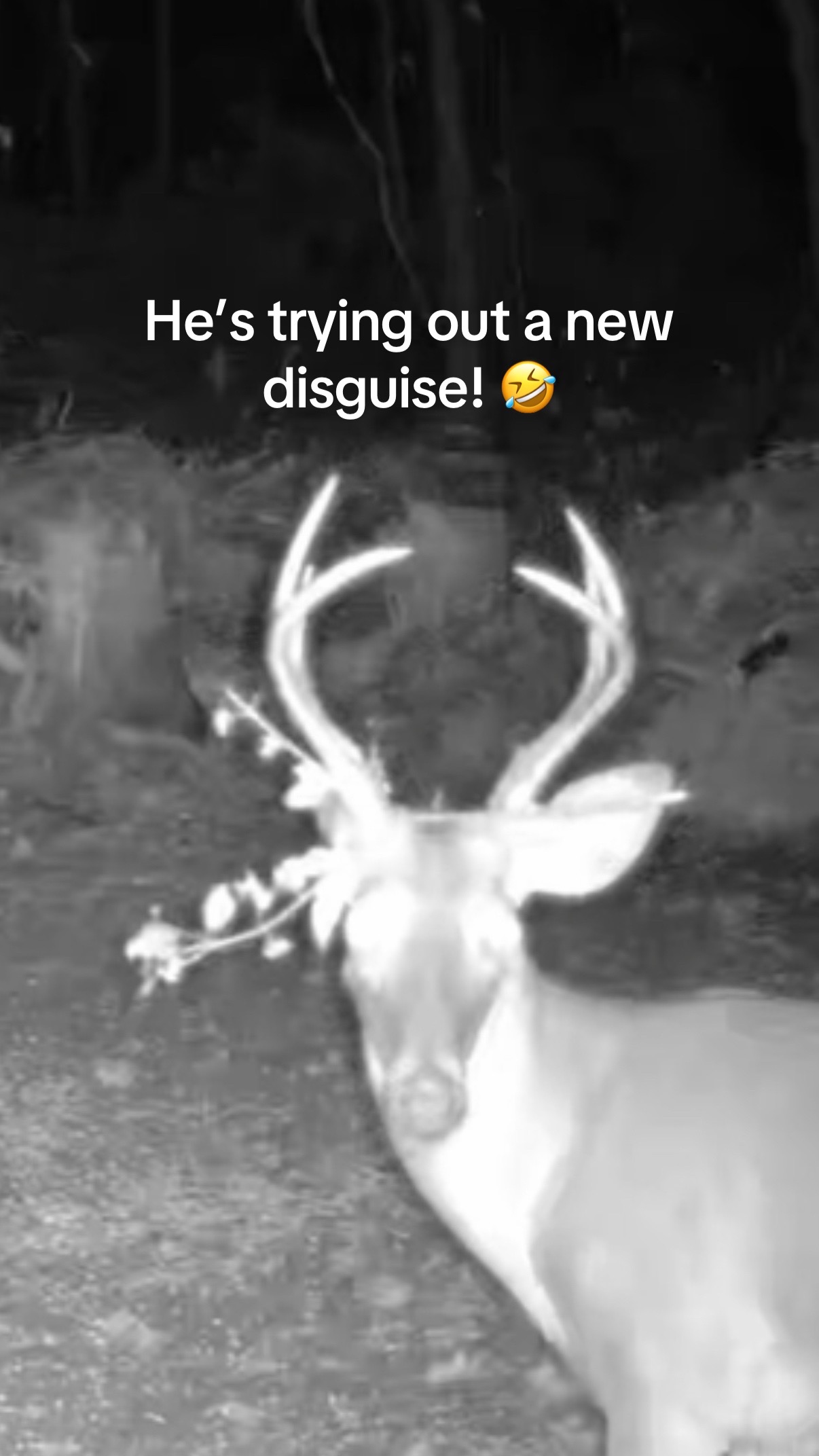 @Toi Batton_GIGI_WTBuckOutdoors