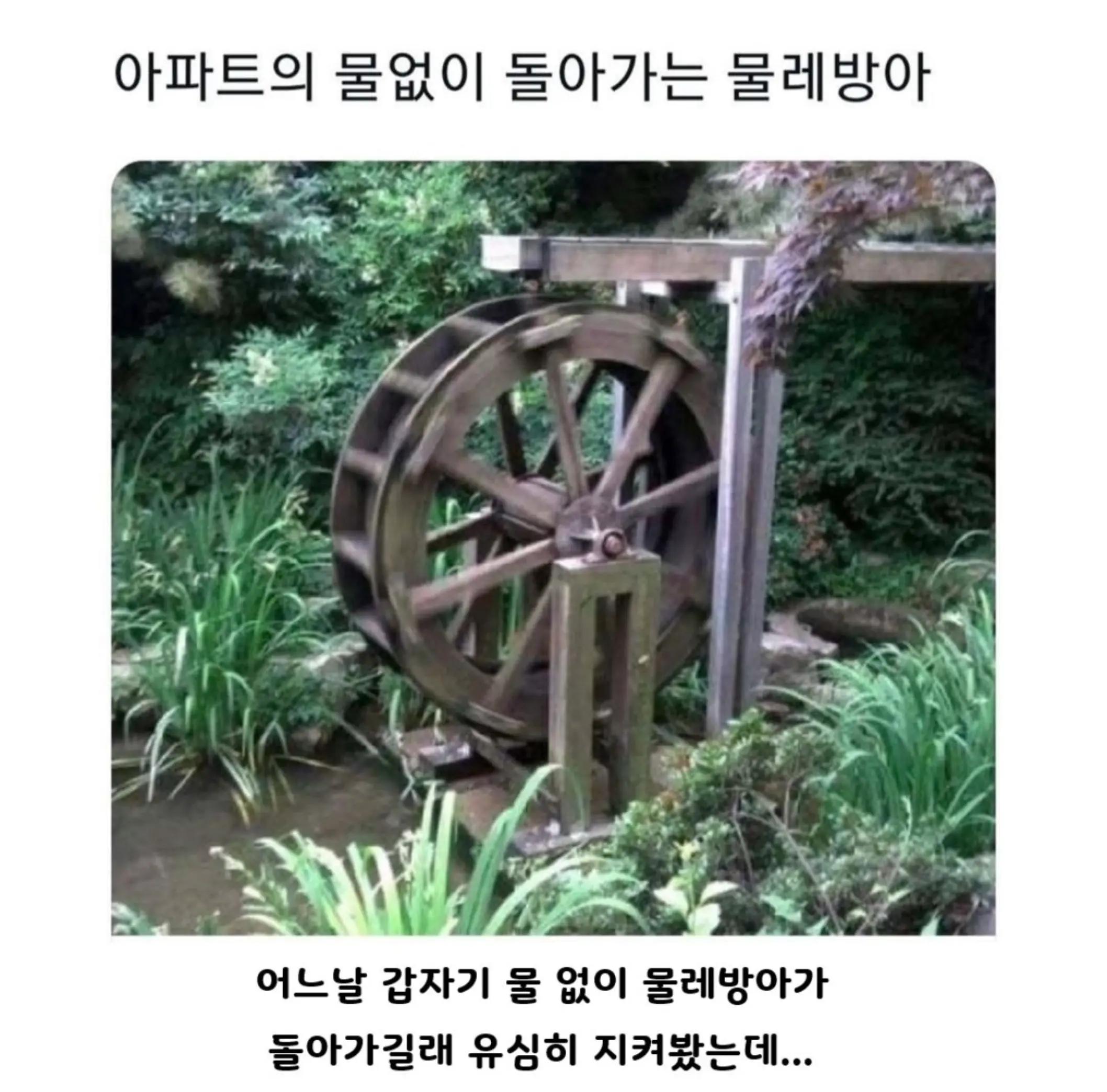 @로이젤