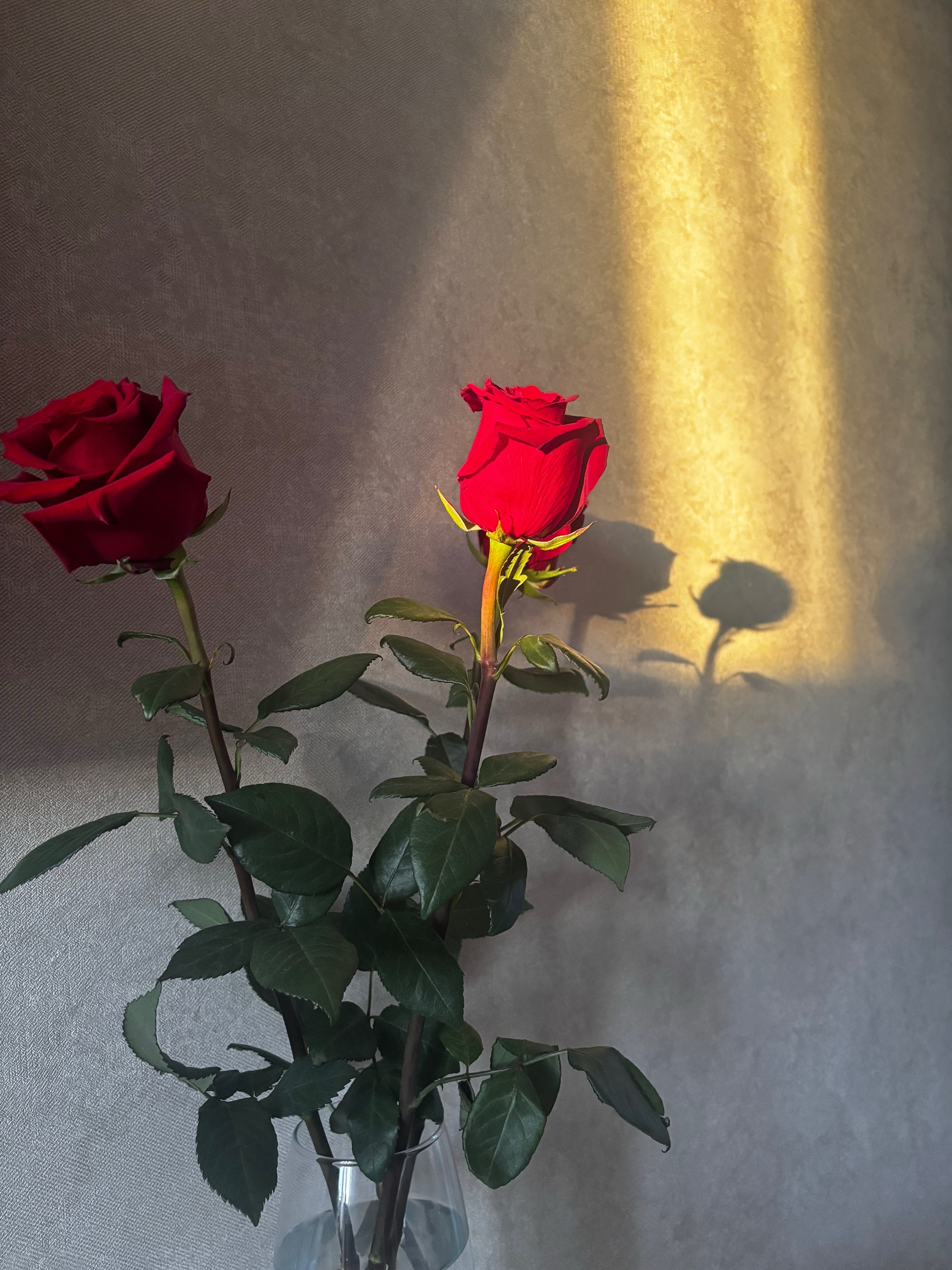 @awew<3