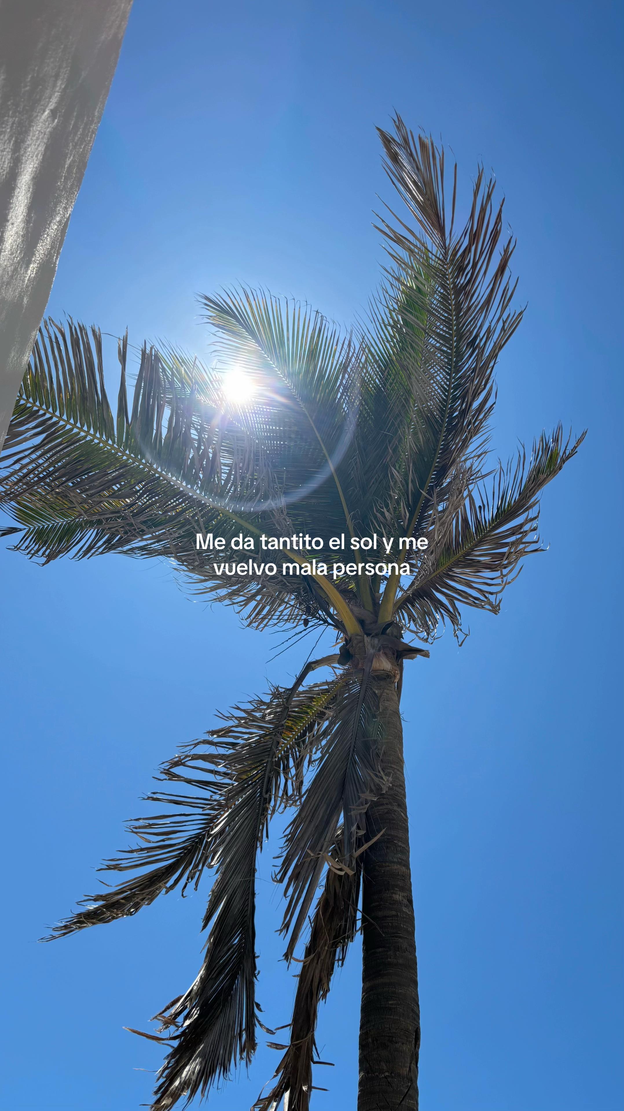@𝓟𝑺 ✌︎㋡