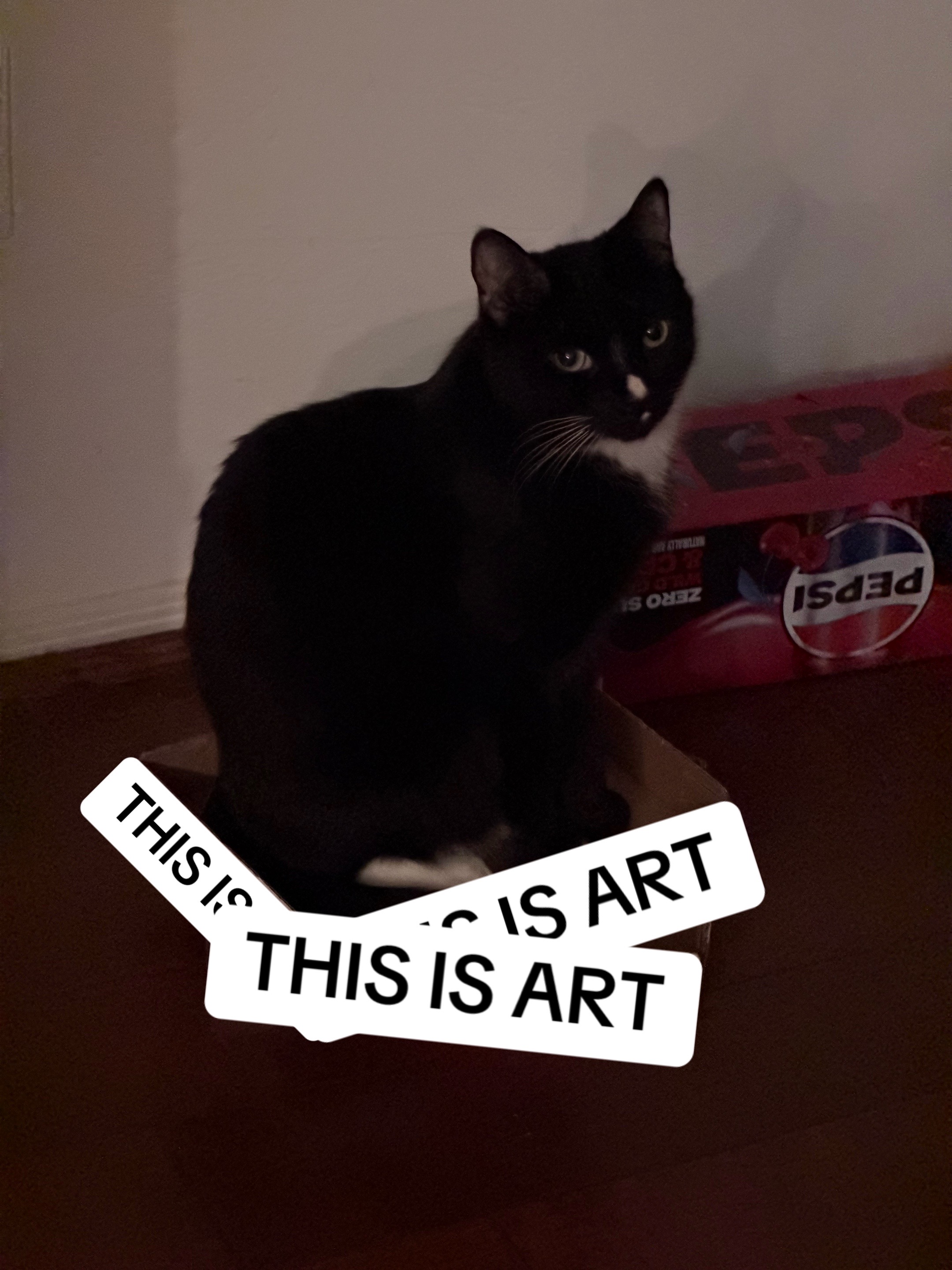 @ArtaMajd