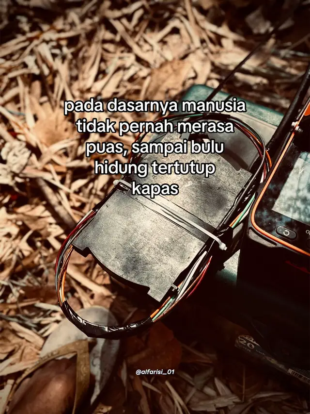 @Alfarisi