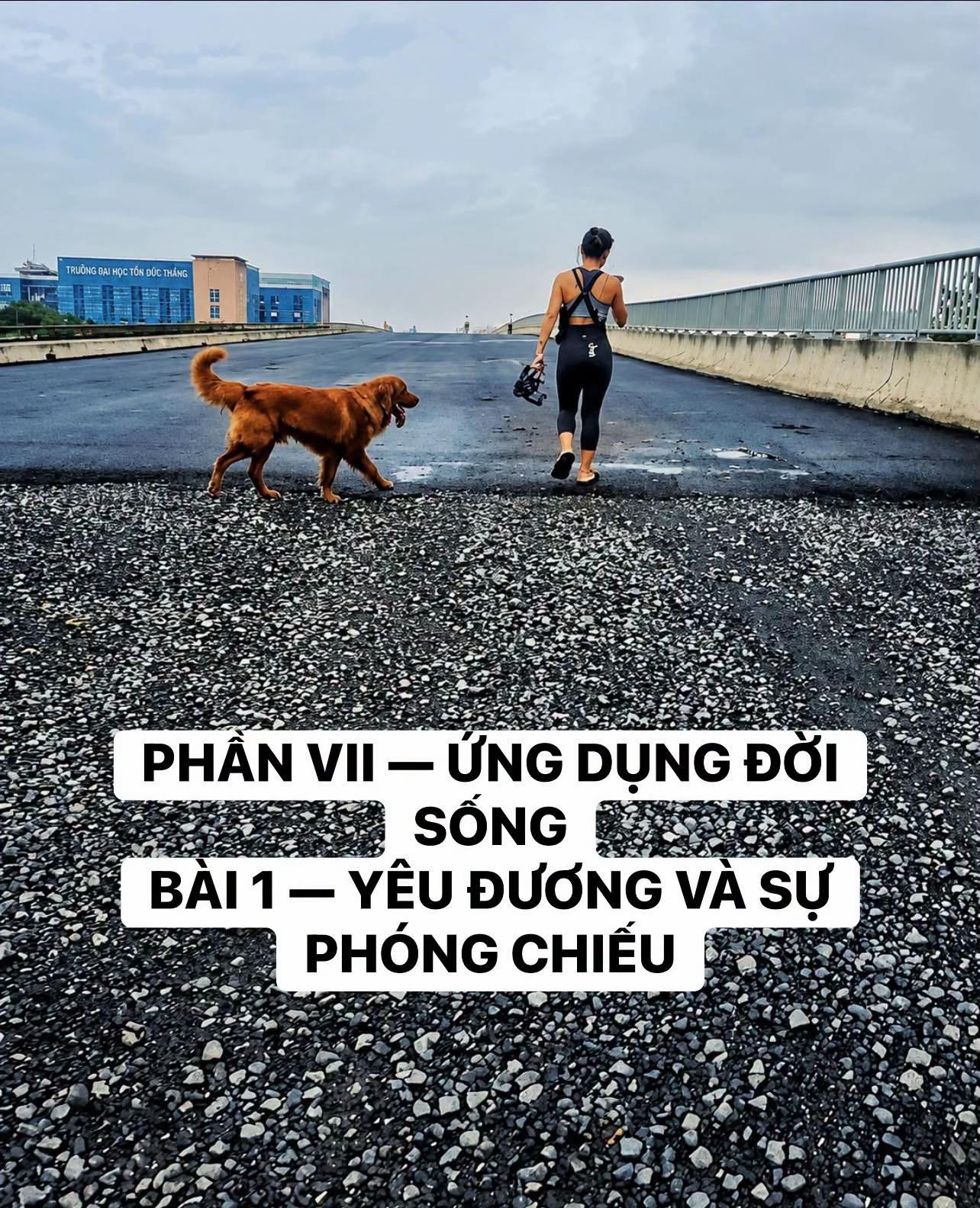 @buihoangbichtho