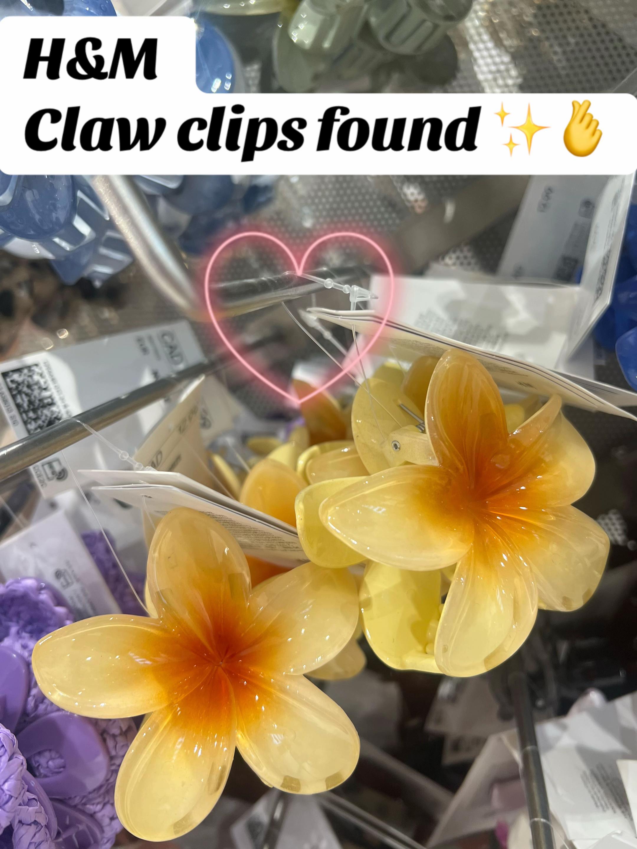 @साक्षी✨🎀
