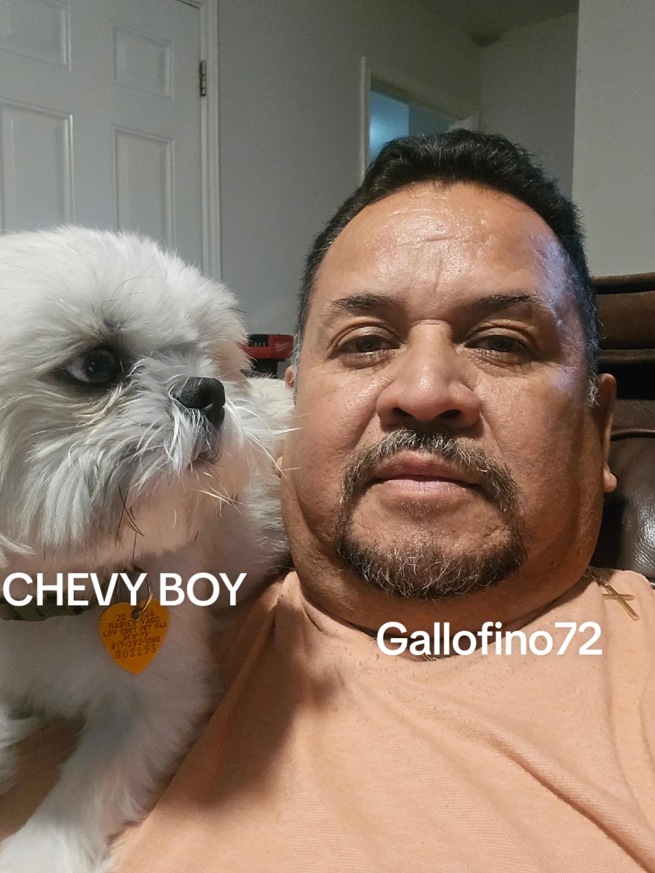 @ElGalloFino