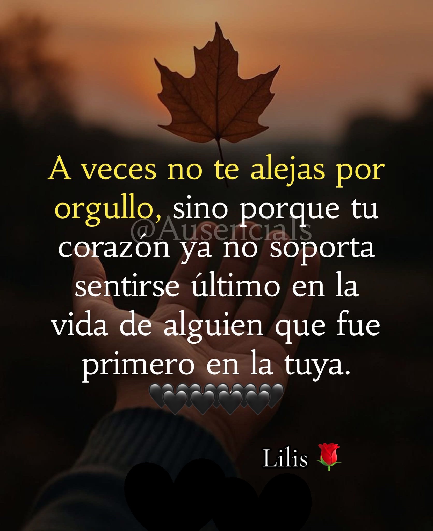 @🌹 Lili ❤️