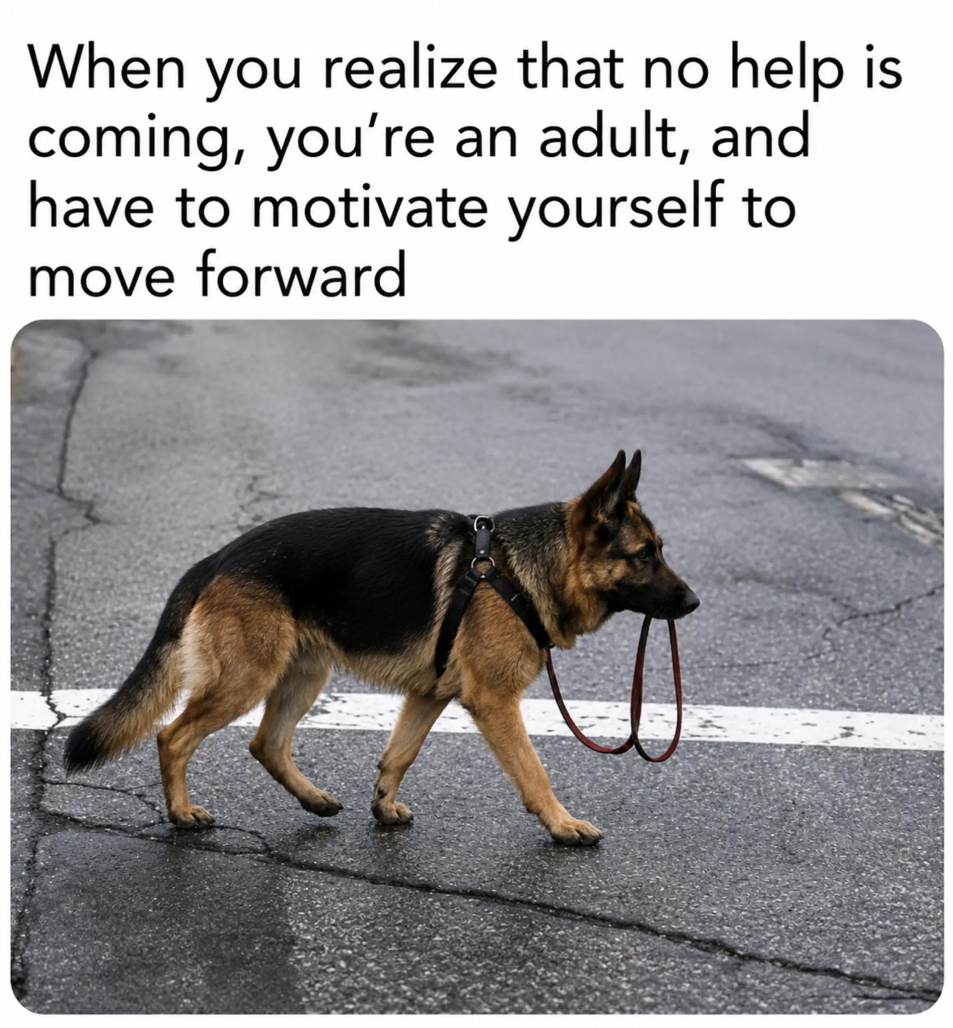 @GSD.PRIDE