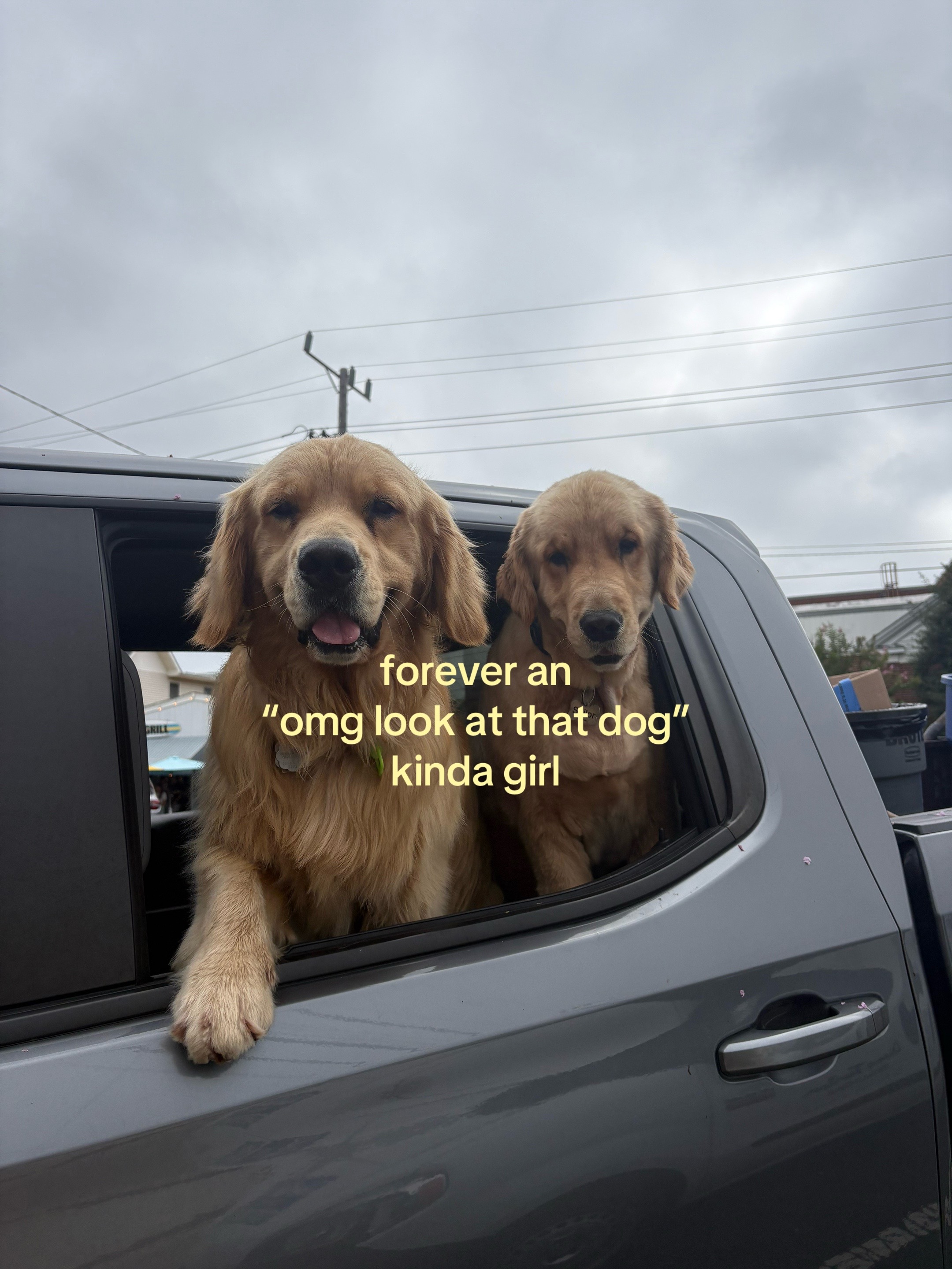 @lani