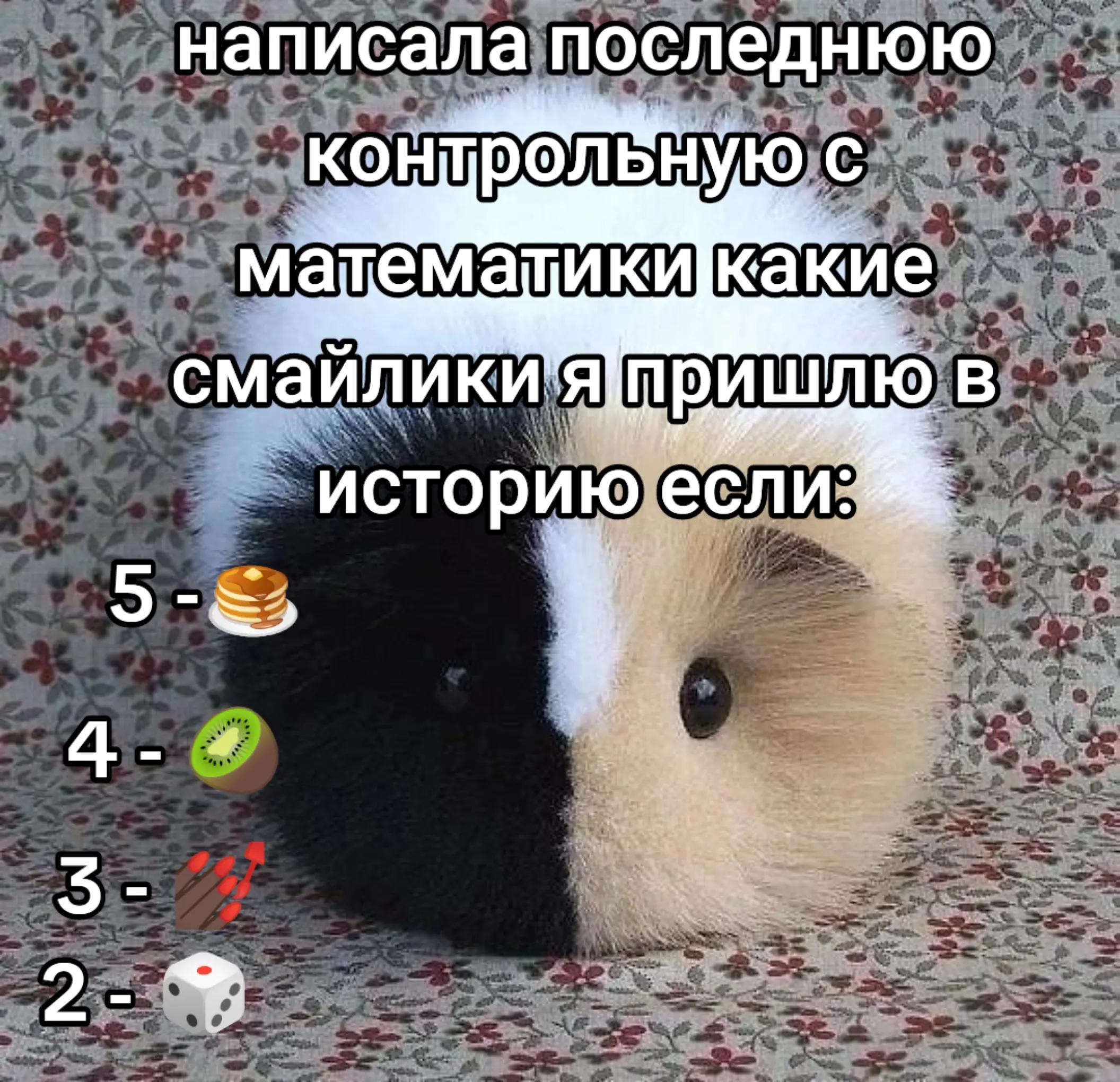 @вафля🧇