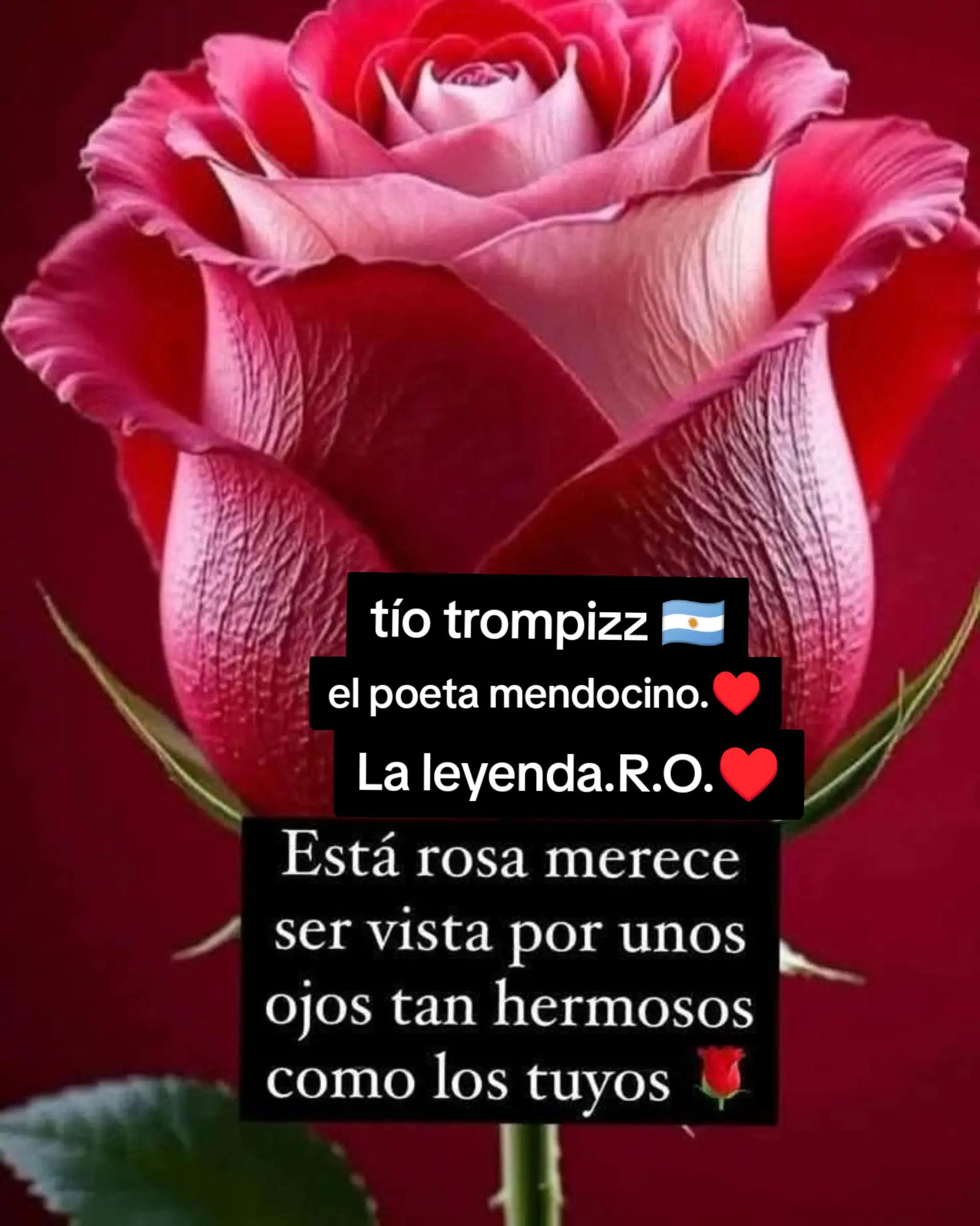 @tío trompizz 🇦🇷 el poeta