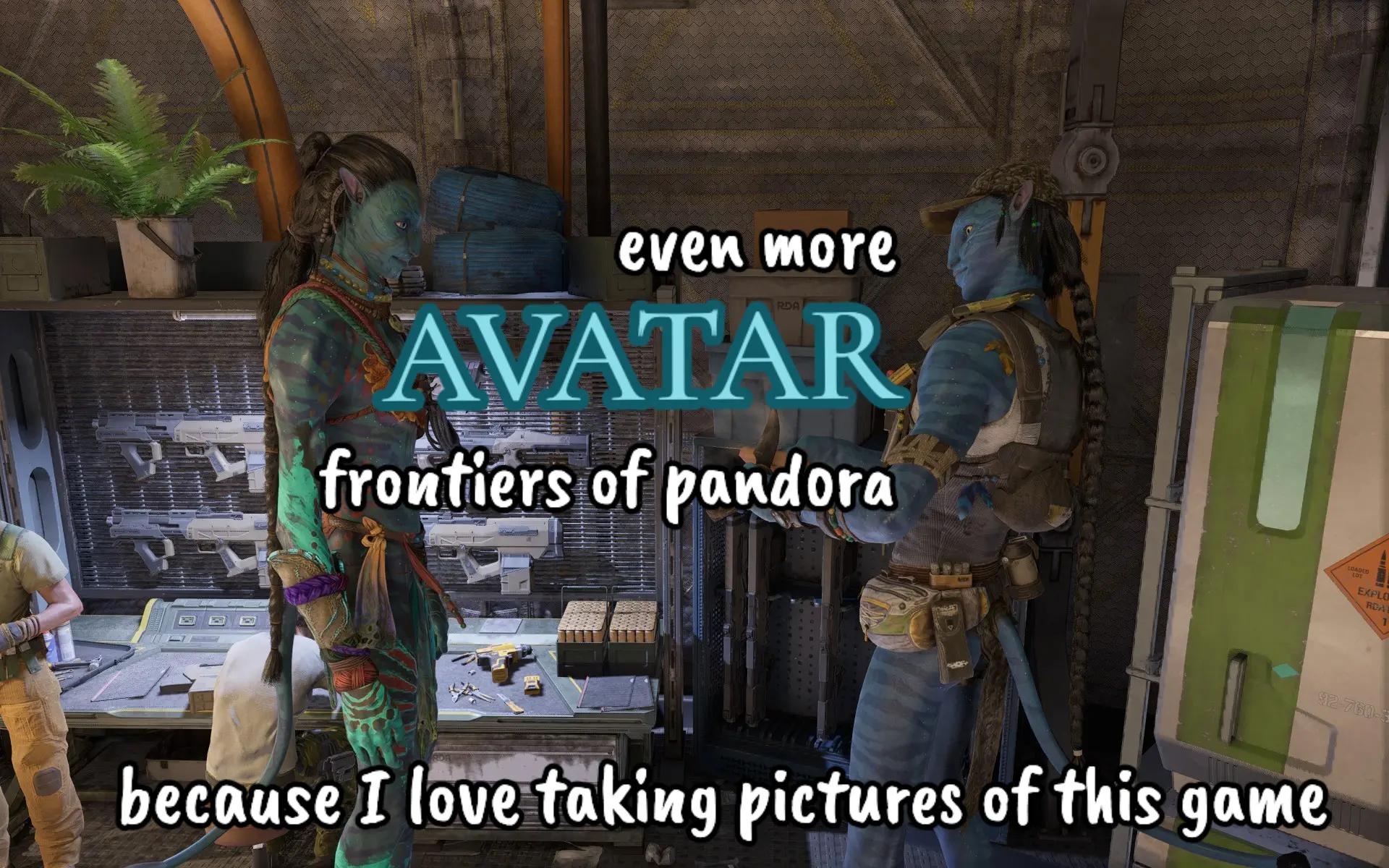 @Ash/Grimm