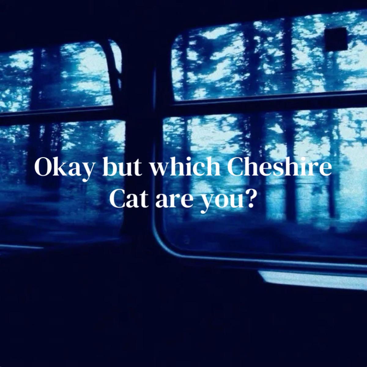@˚₊‧꒰ა 𝒜𝓈𝒽𝒶 ໒꒱ ‧₊˚