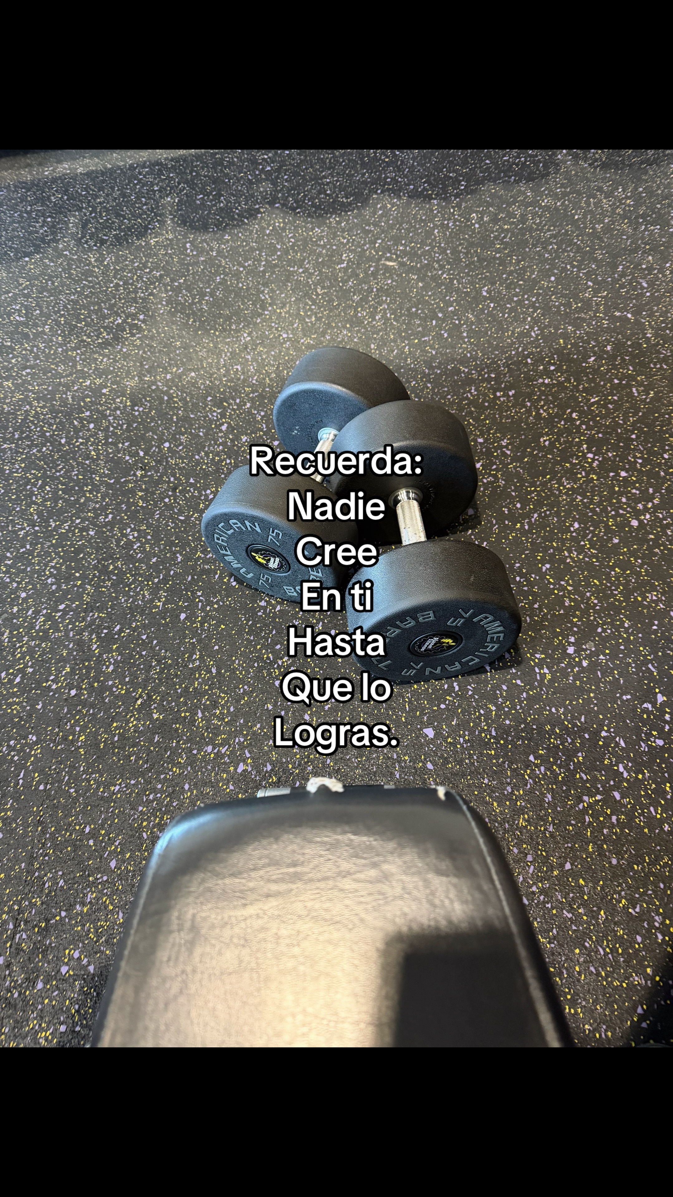 @𓆰Alan𓆪