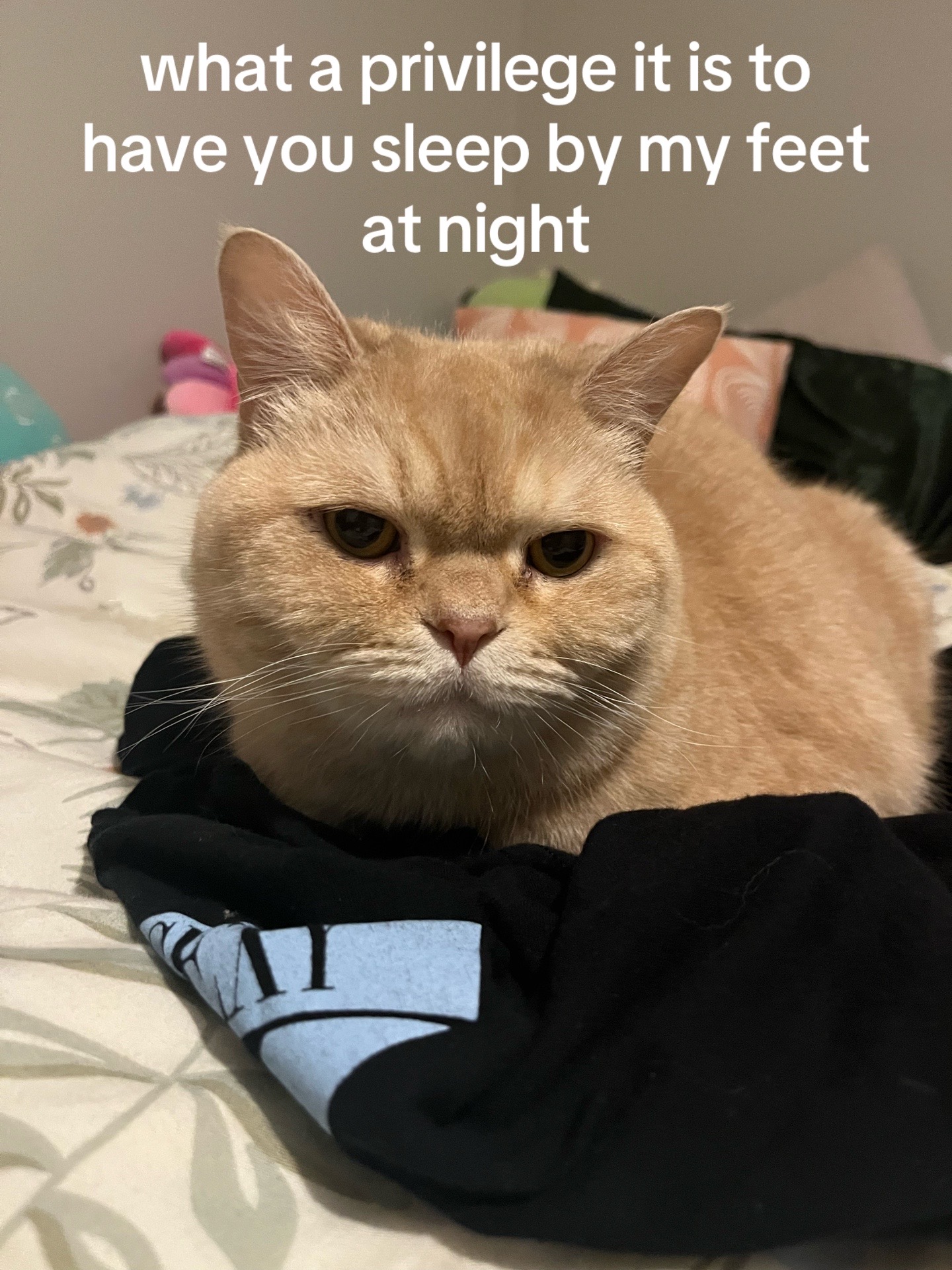 @ky🧸