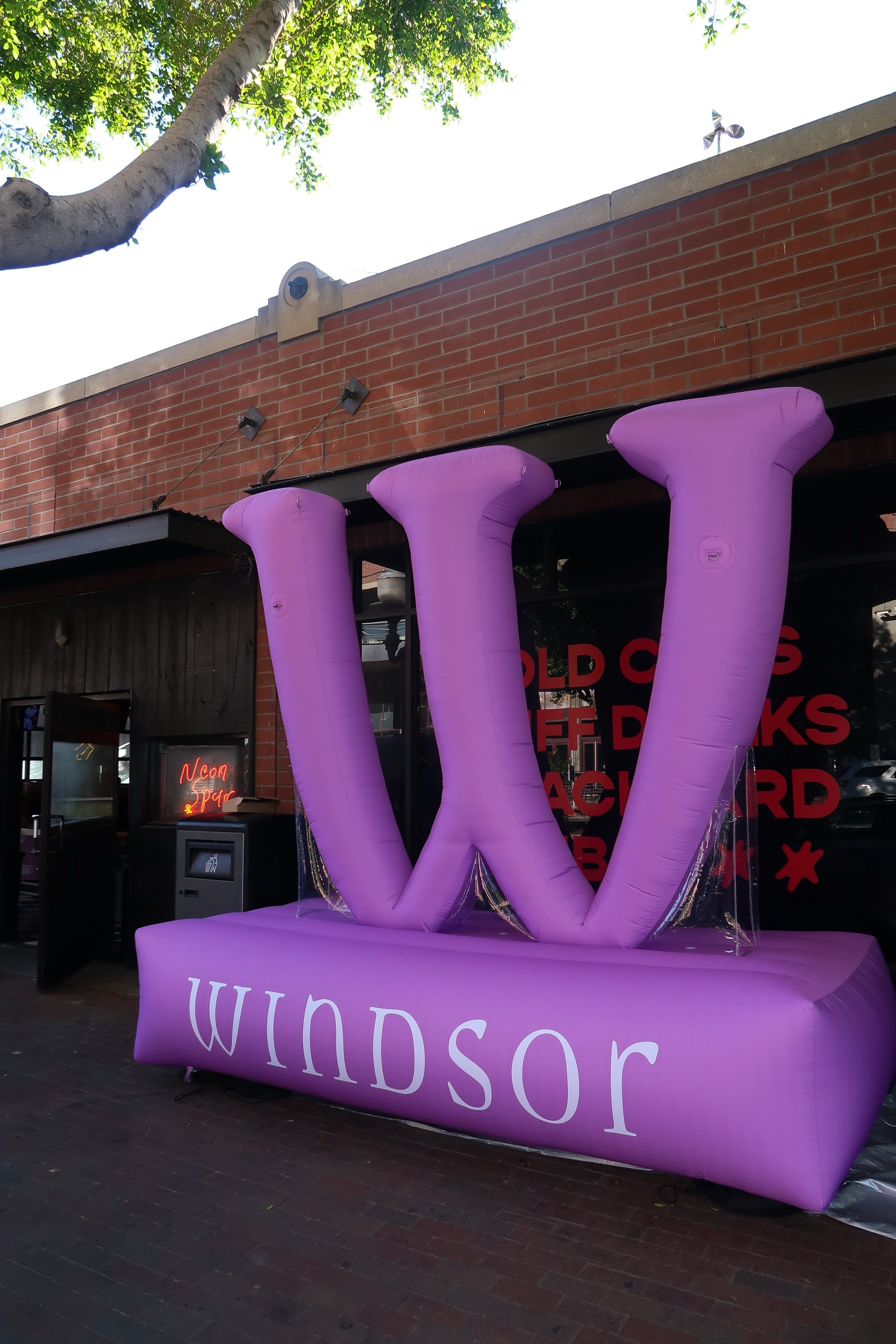 @windsorstore