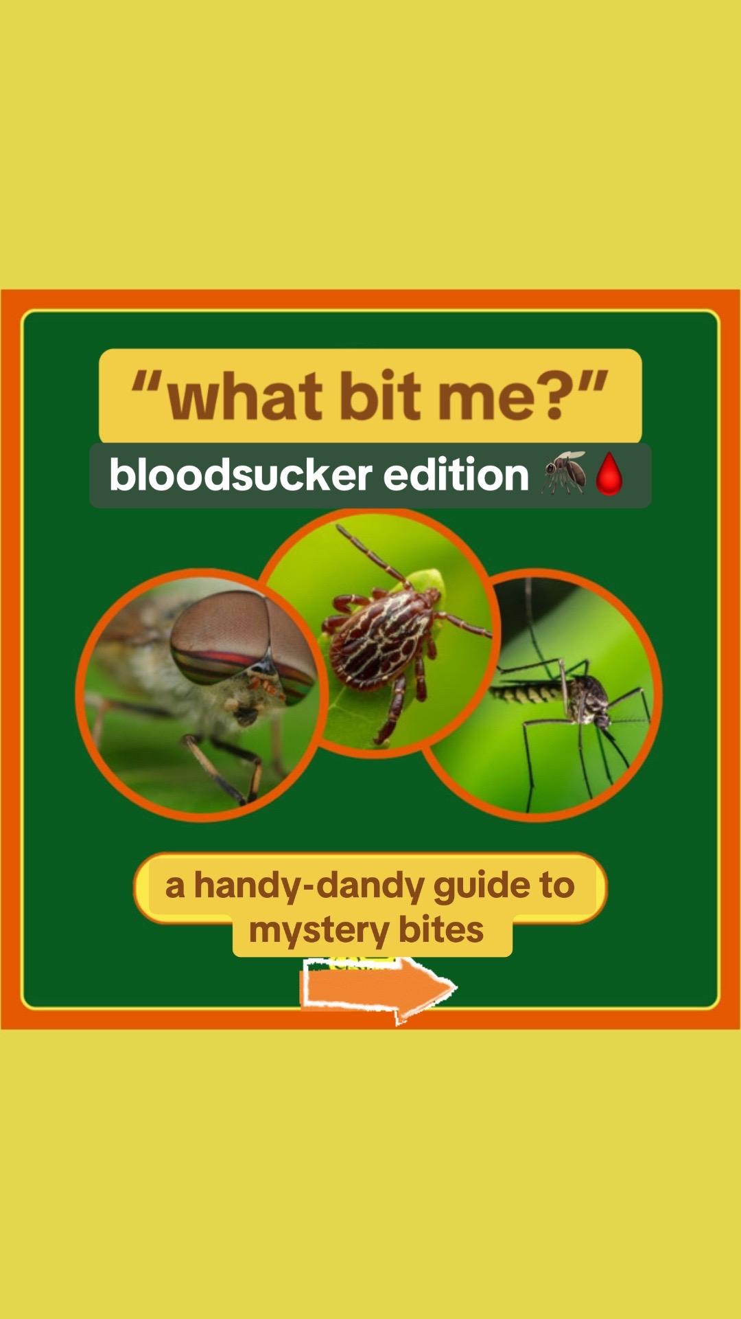 @Buzzie