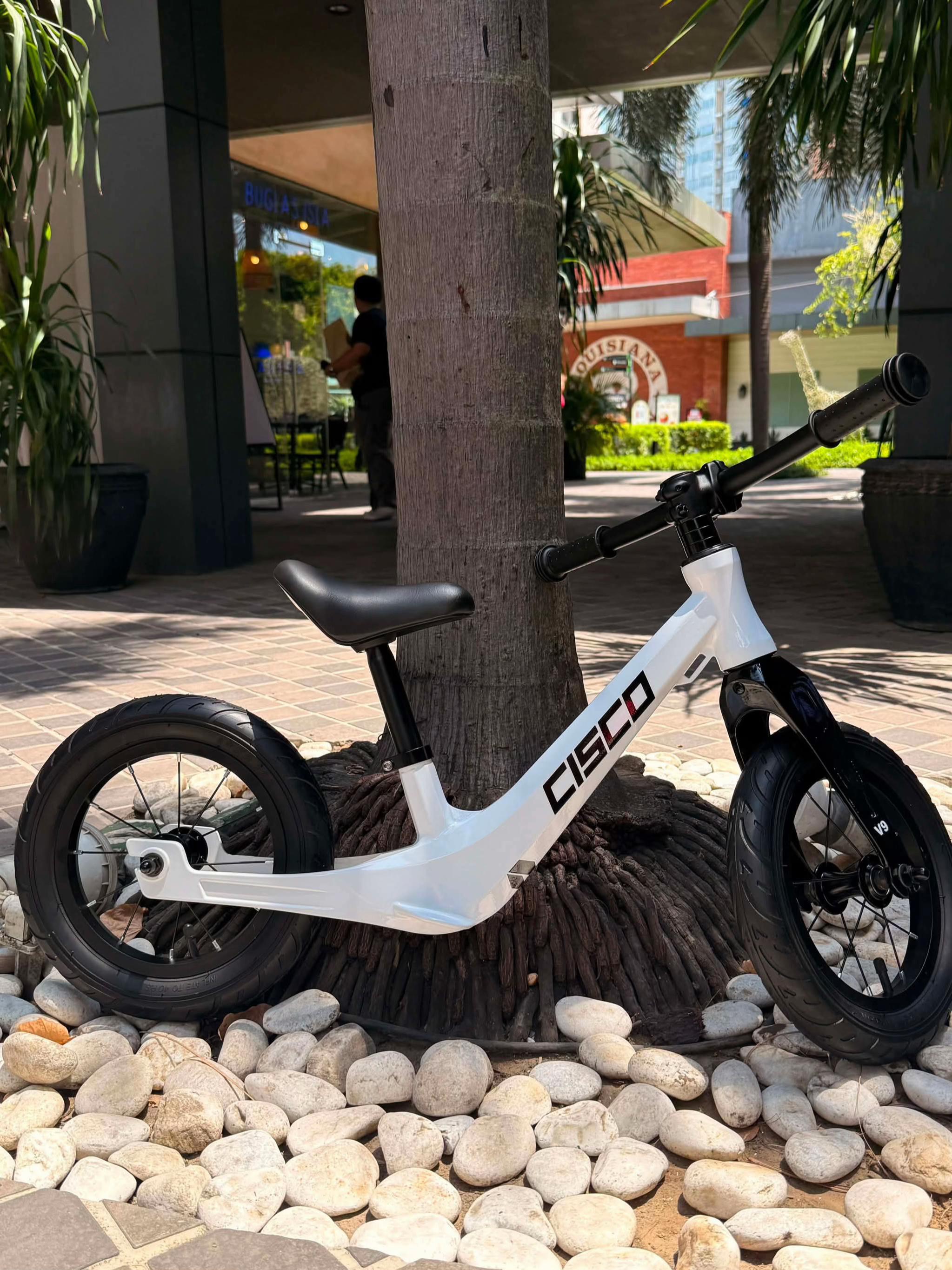 @gopedalph