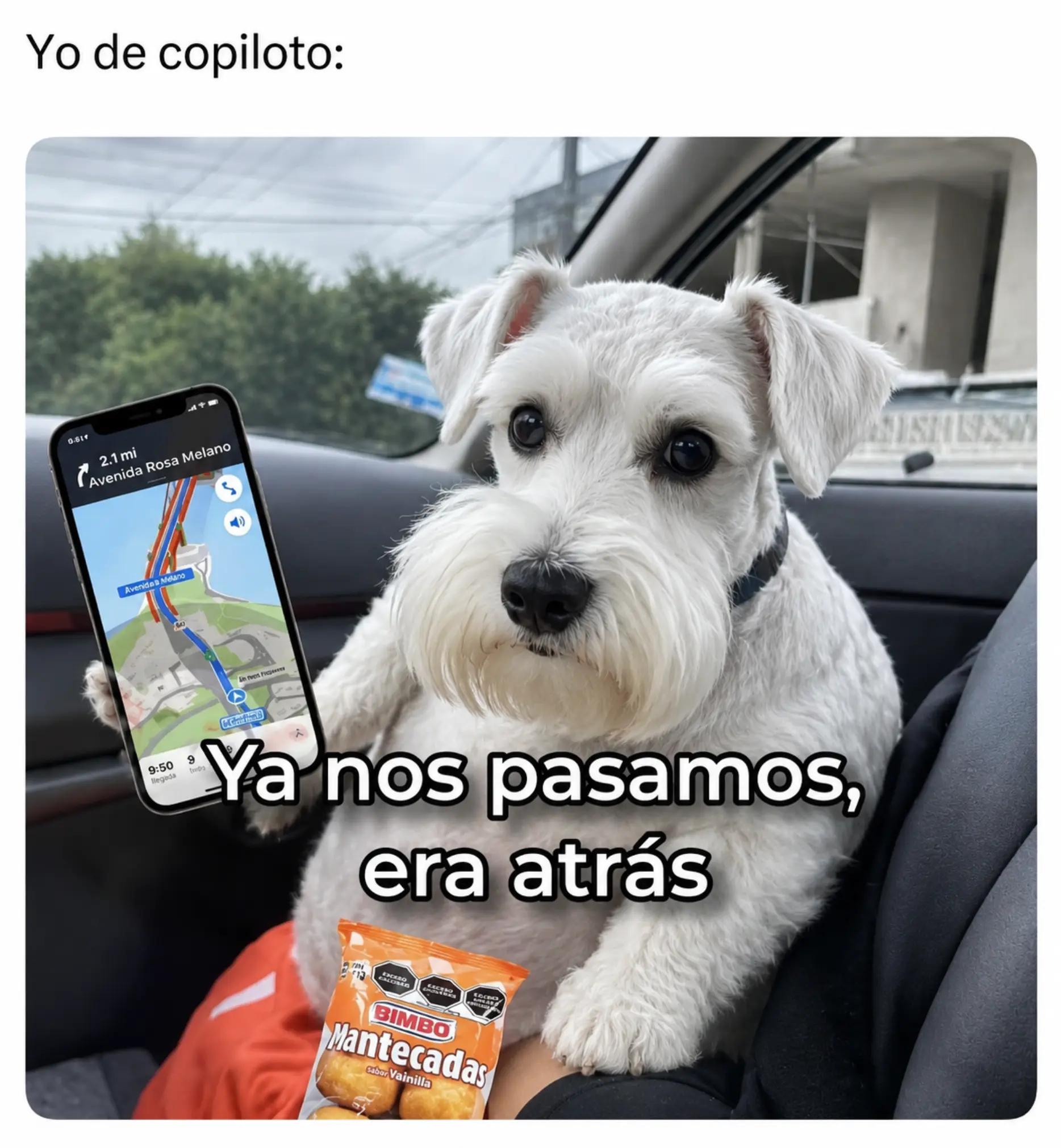 @La Esposita