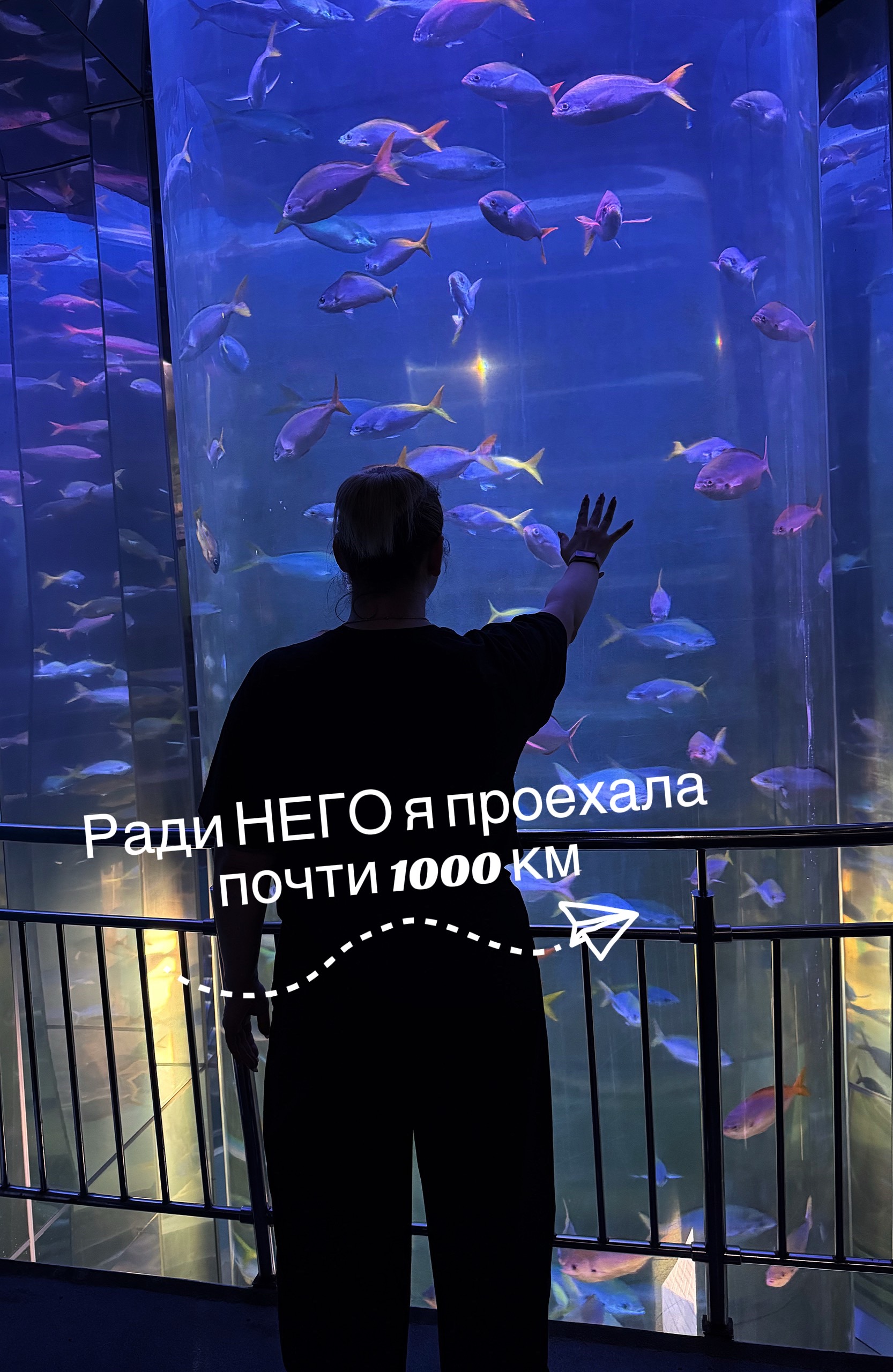 @Яойщик_со_стажем