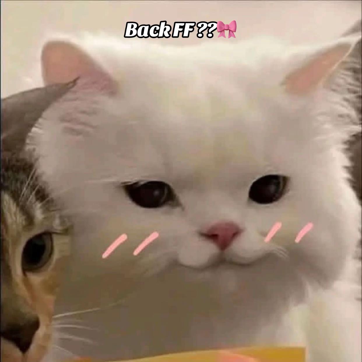 @IZZY NANCY