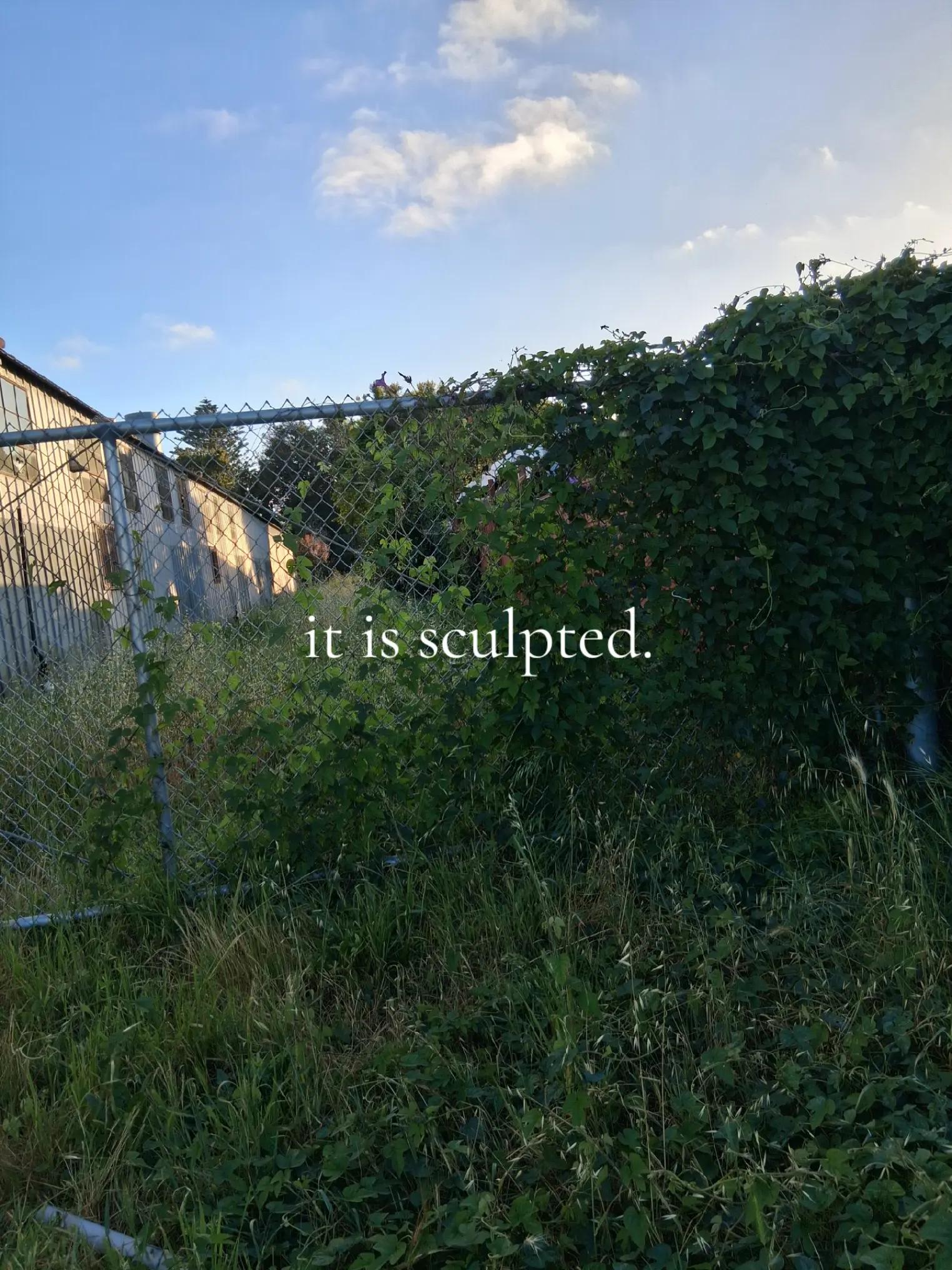 @[SCHIZOPHRENIC-TELEVISION]
