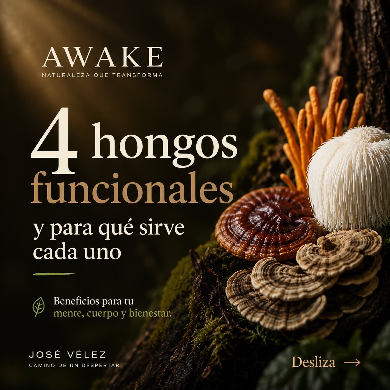 @José Vélez