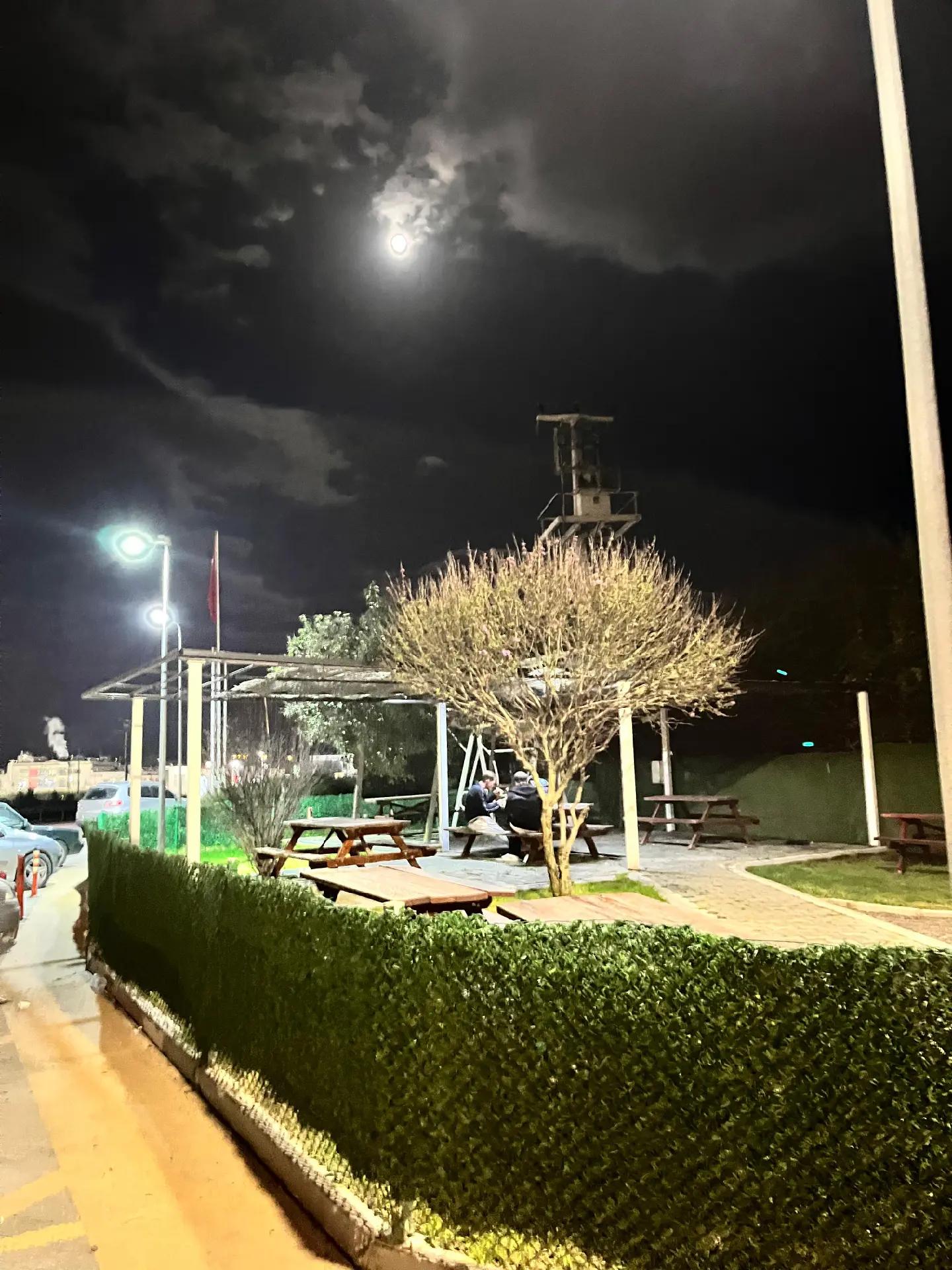 @Sıla Erdim