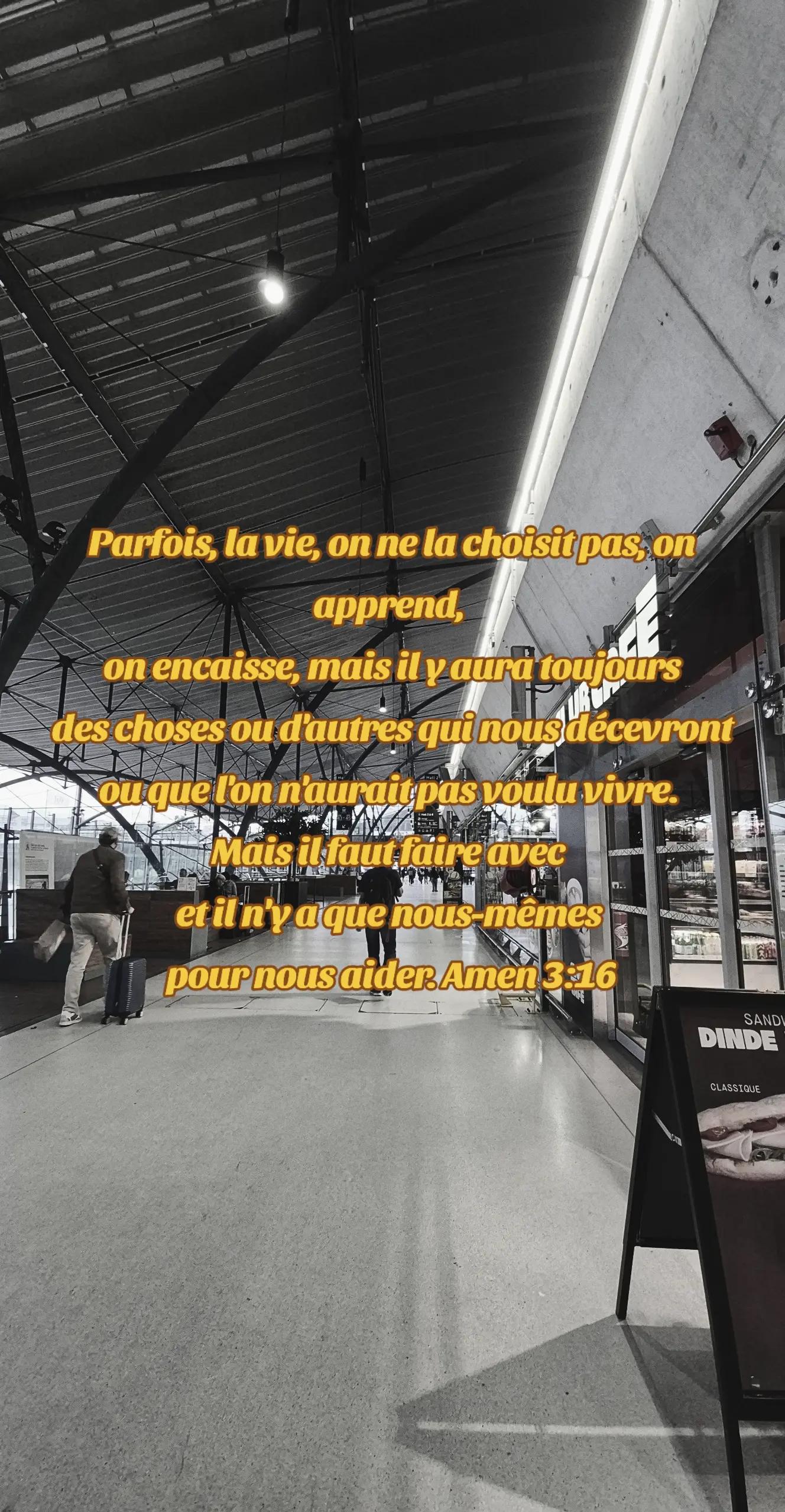 @𝙑𝙞𝙘𝙩𝙤𝙧.𝙈