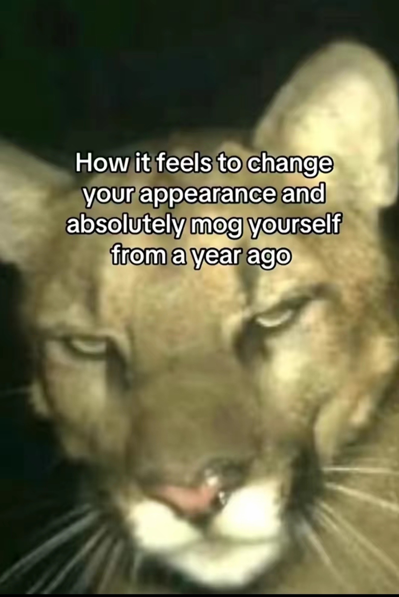@kay! ๊จใท