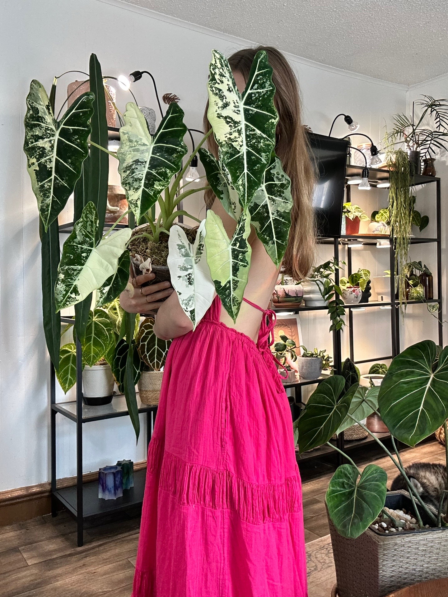 @theplantgirl_diaries