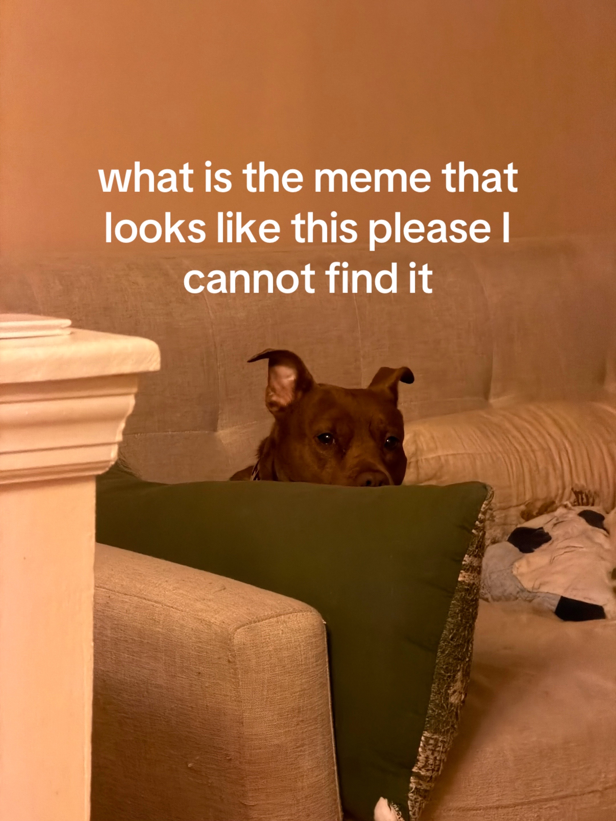 @claretimore