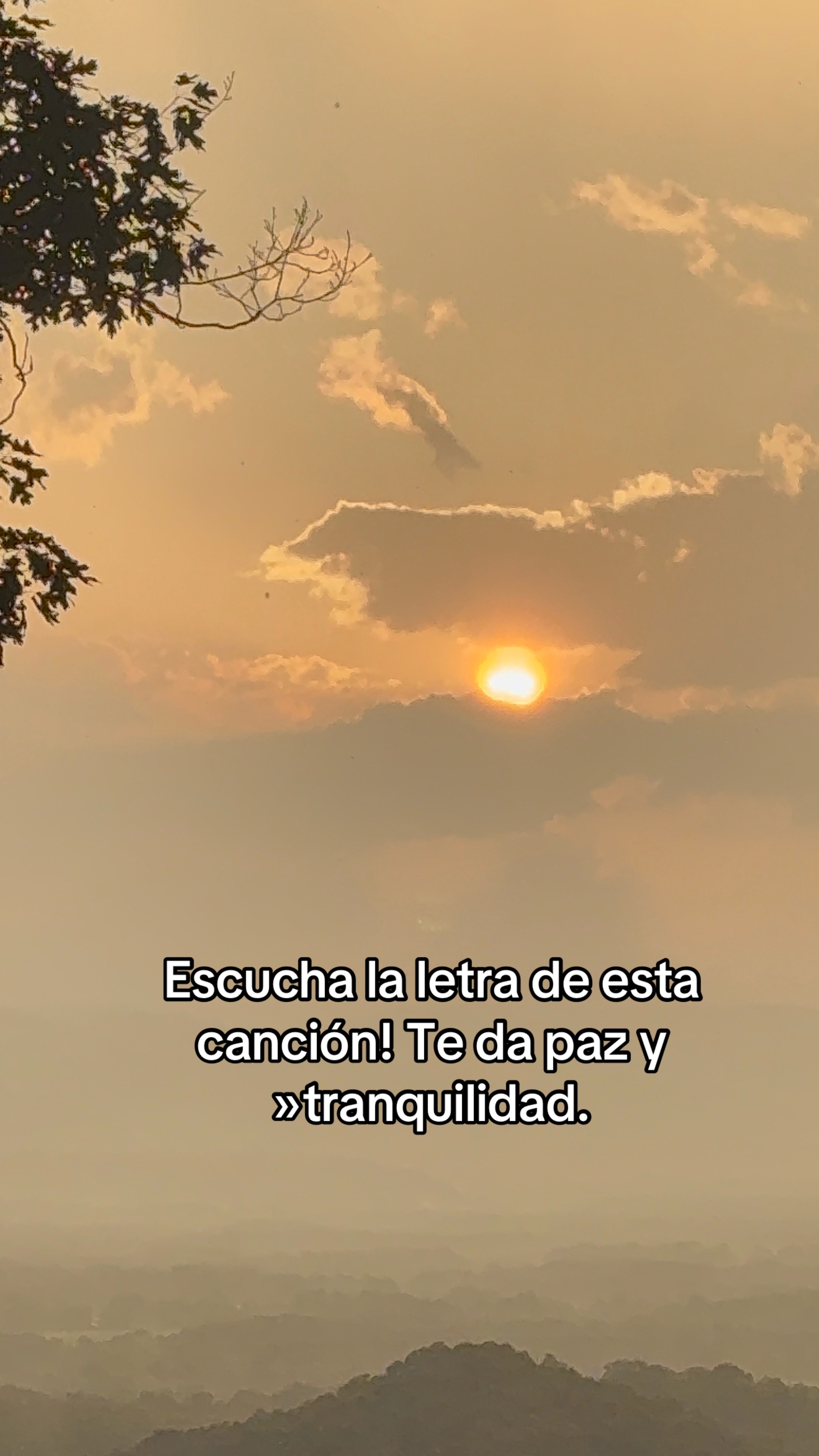@sandra❤️👶🧑&zwj;🧑&zwj;🧒&zwj;🧒
