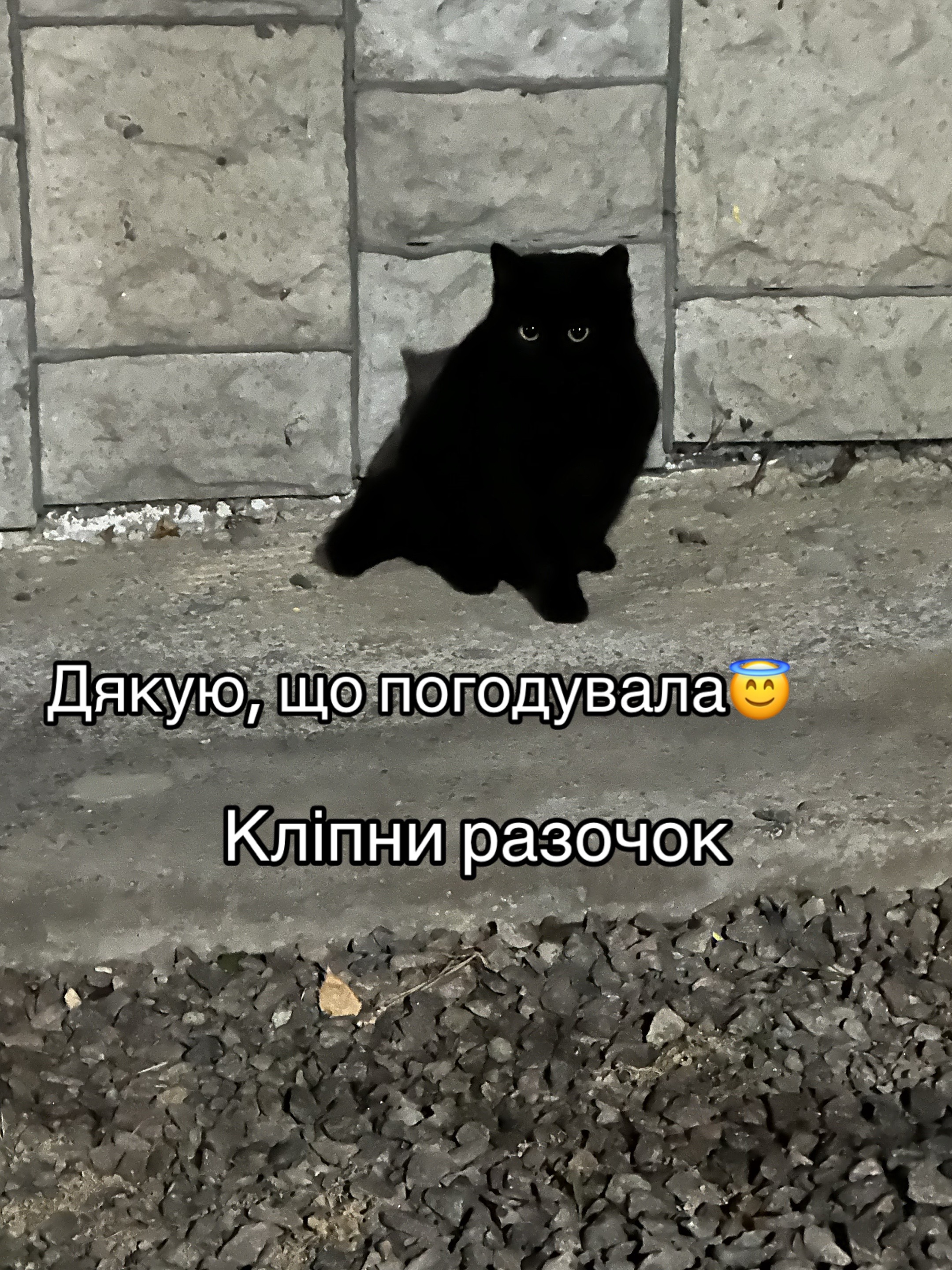 @CaTtoK