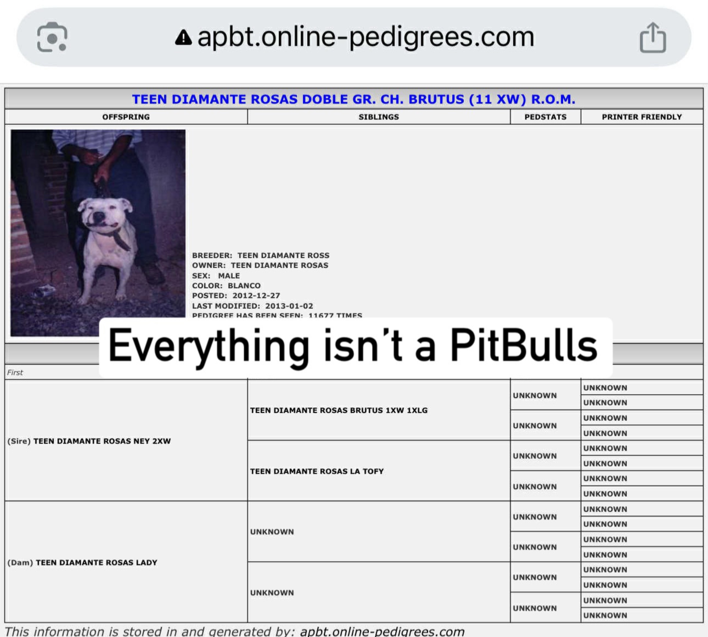 @OGMasterOfAllBulldogs