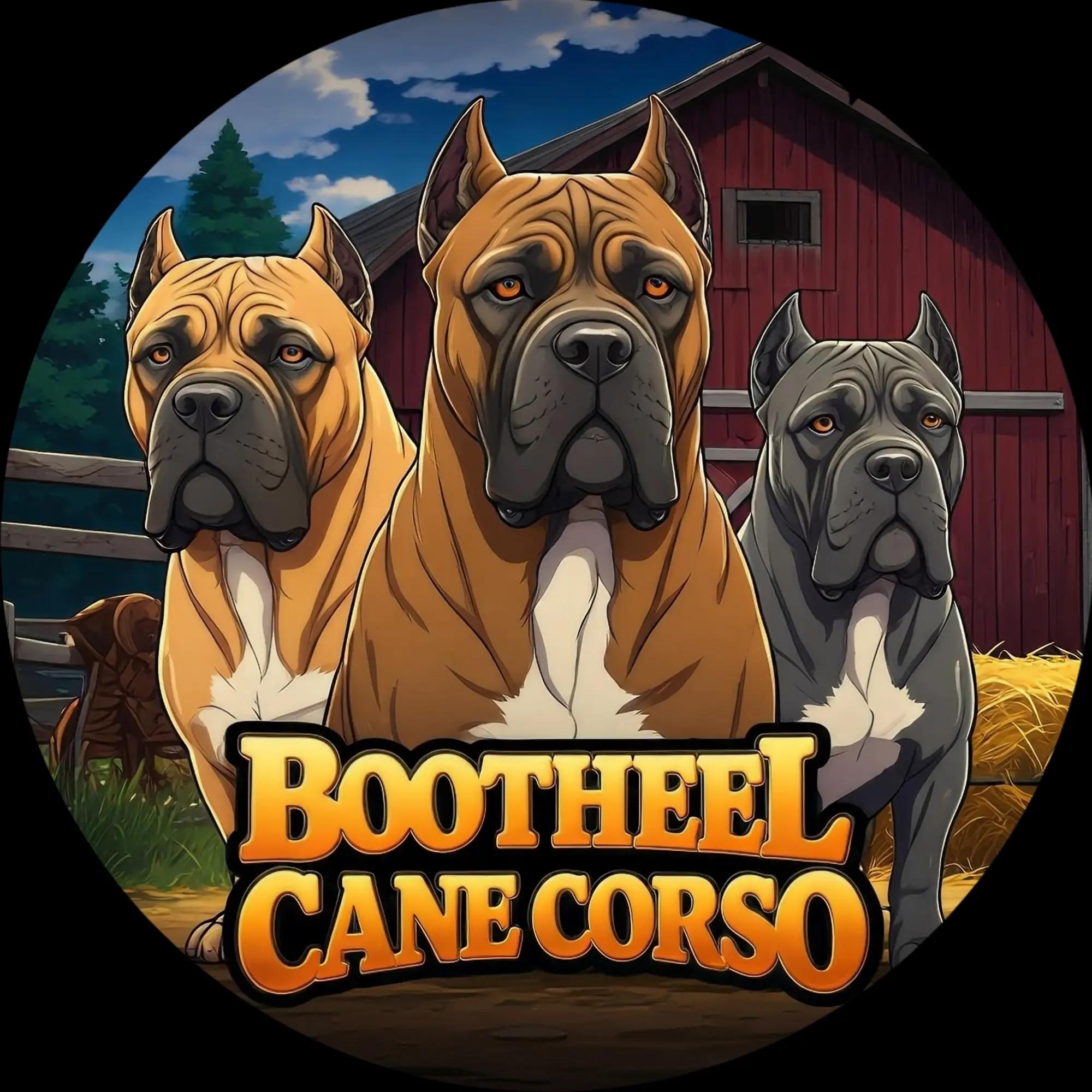 @BOOTHEEL CANE CORSO