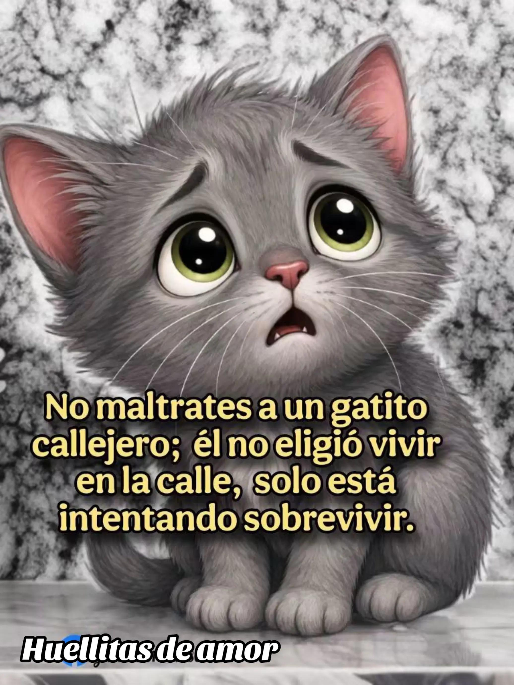 @🇲🇽Guli.Carrada 🐈⬛